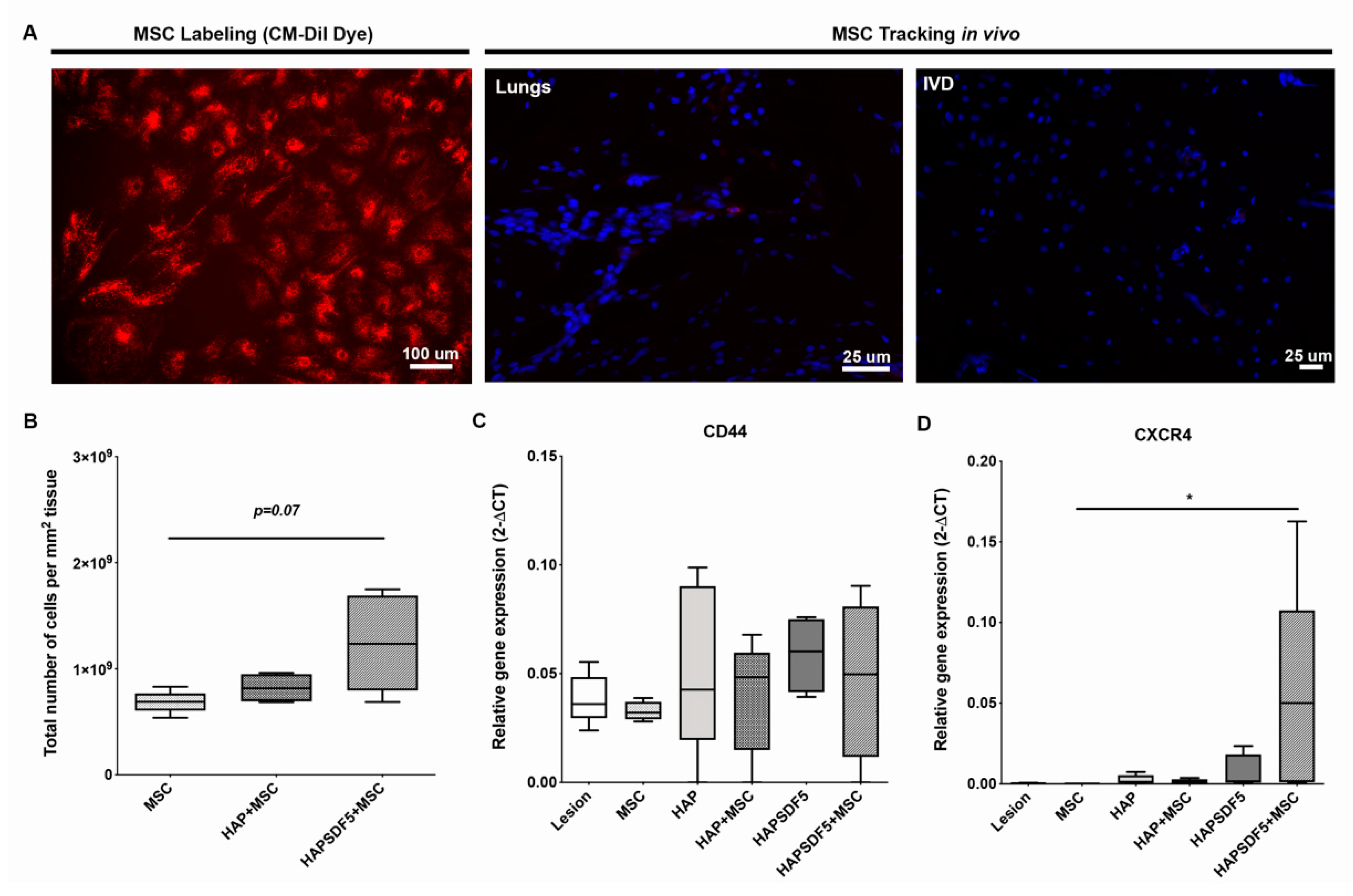 Ijms 22 09609 g002 550