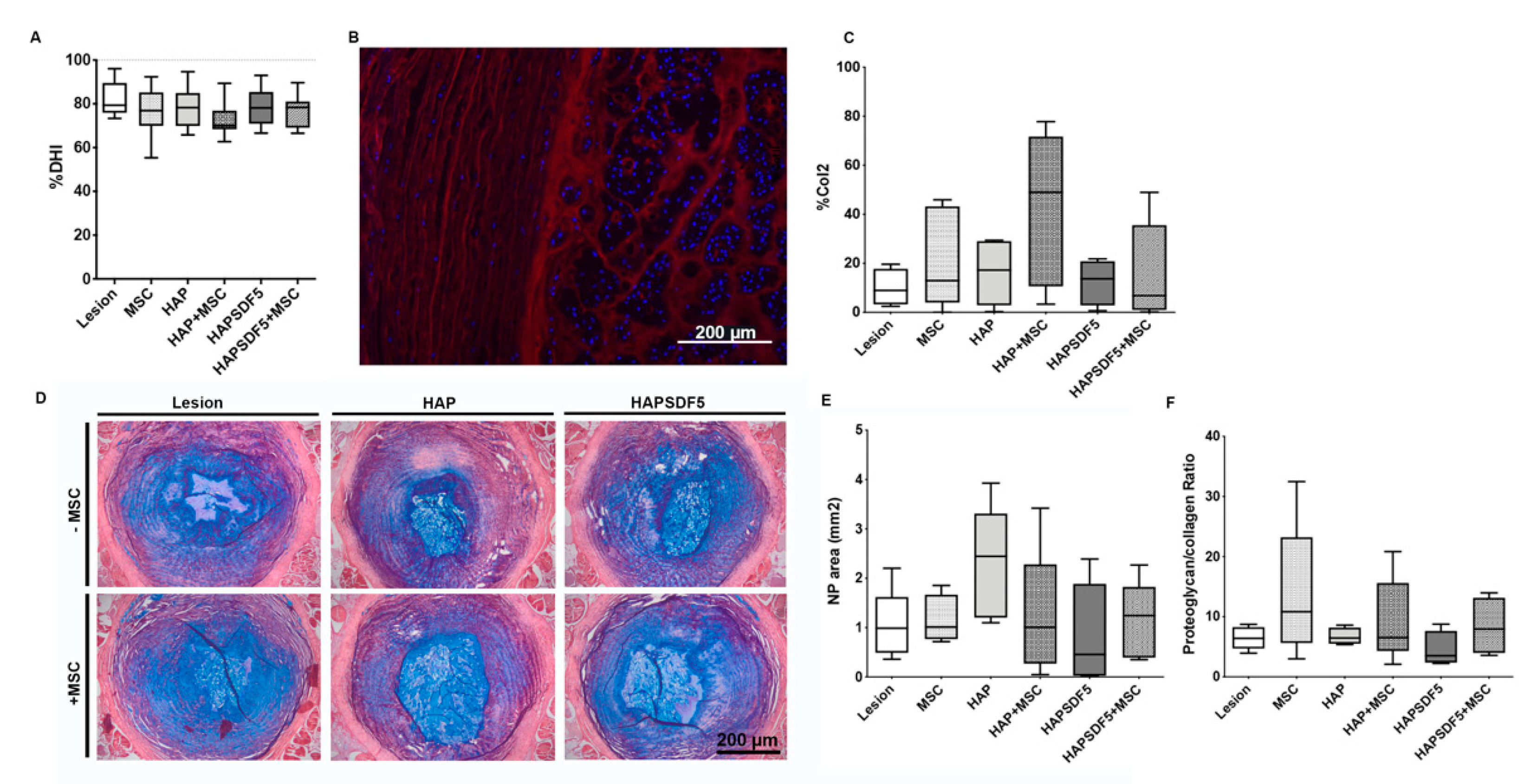 Ijms 22 09609 g004 550