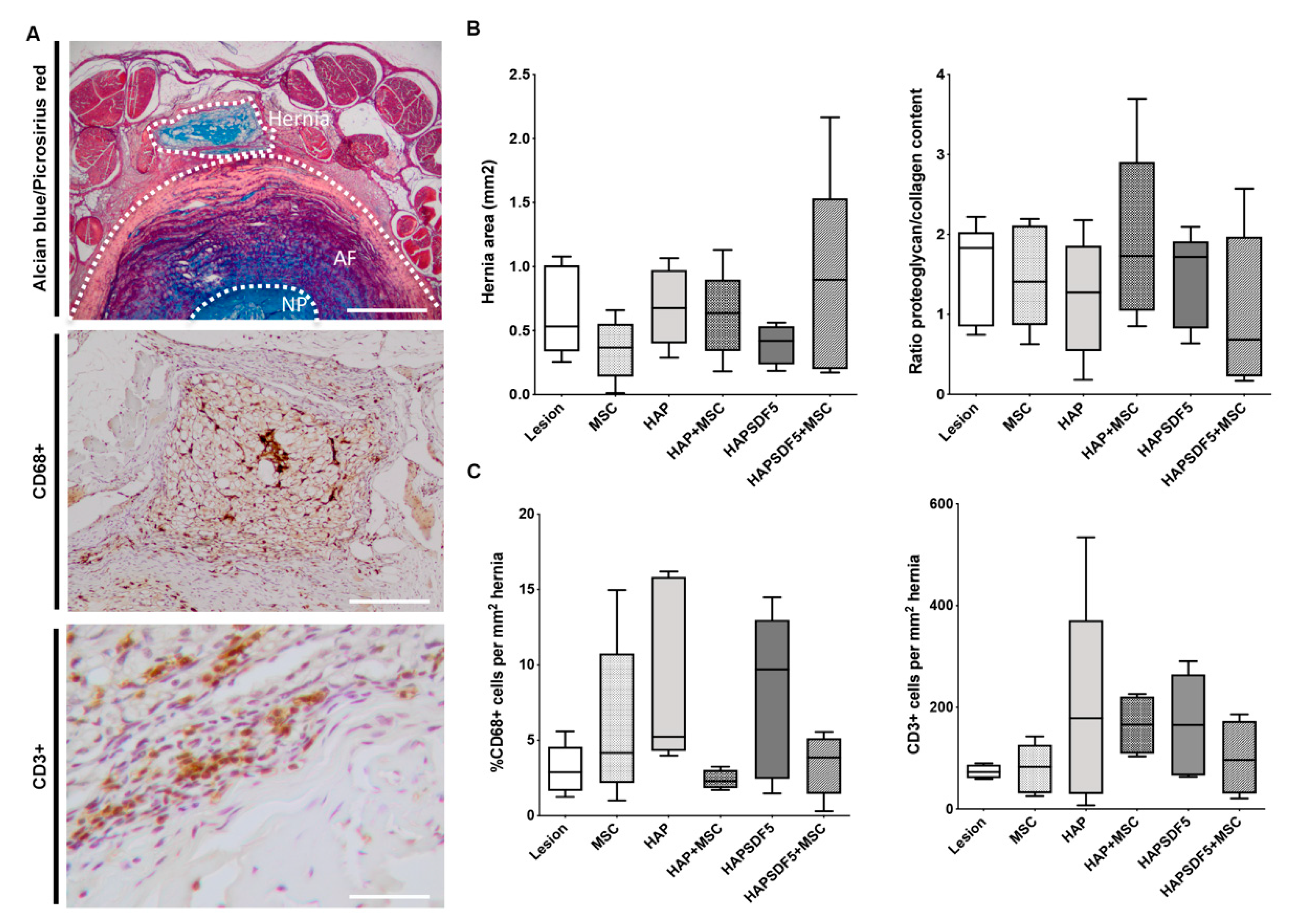 Ijms 22 09609 g005 550