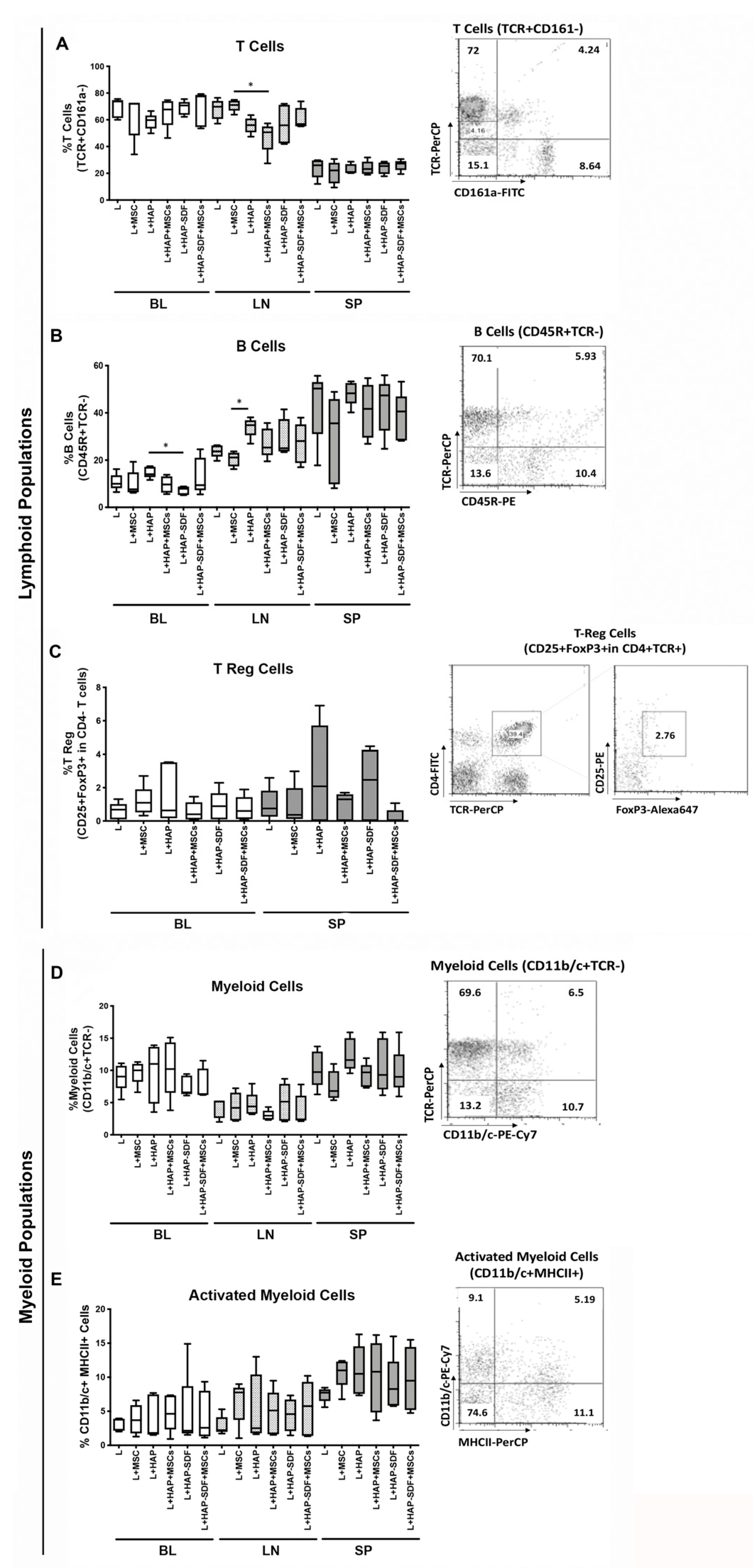 Ijms 22 09609 g006 550