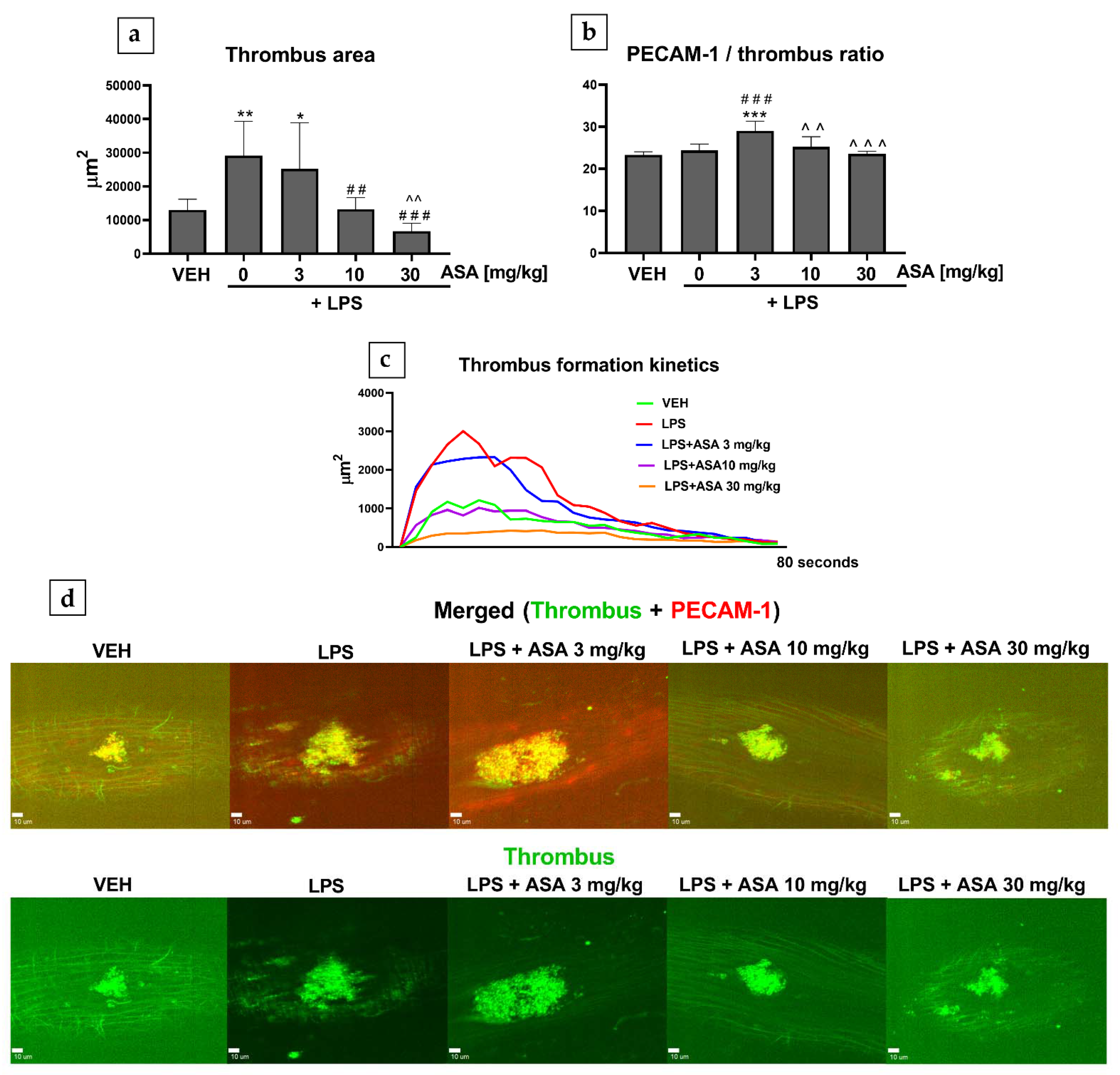 Ijms 22 09611 g001 550