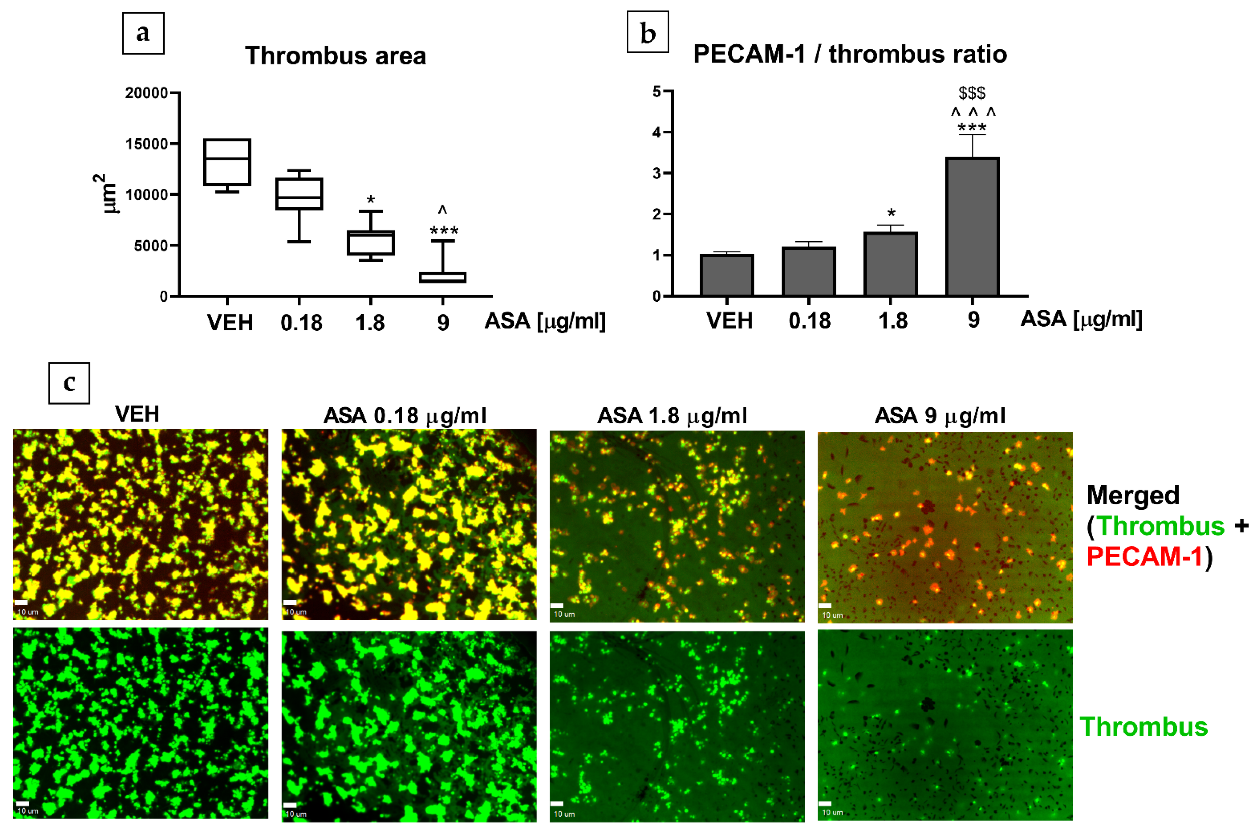 Ijms 22 09611 g004 550