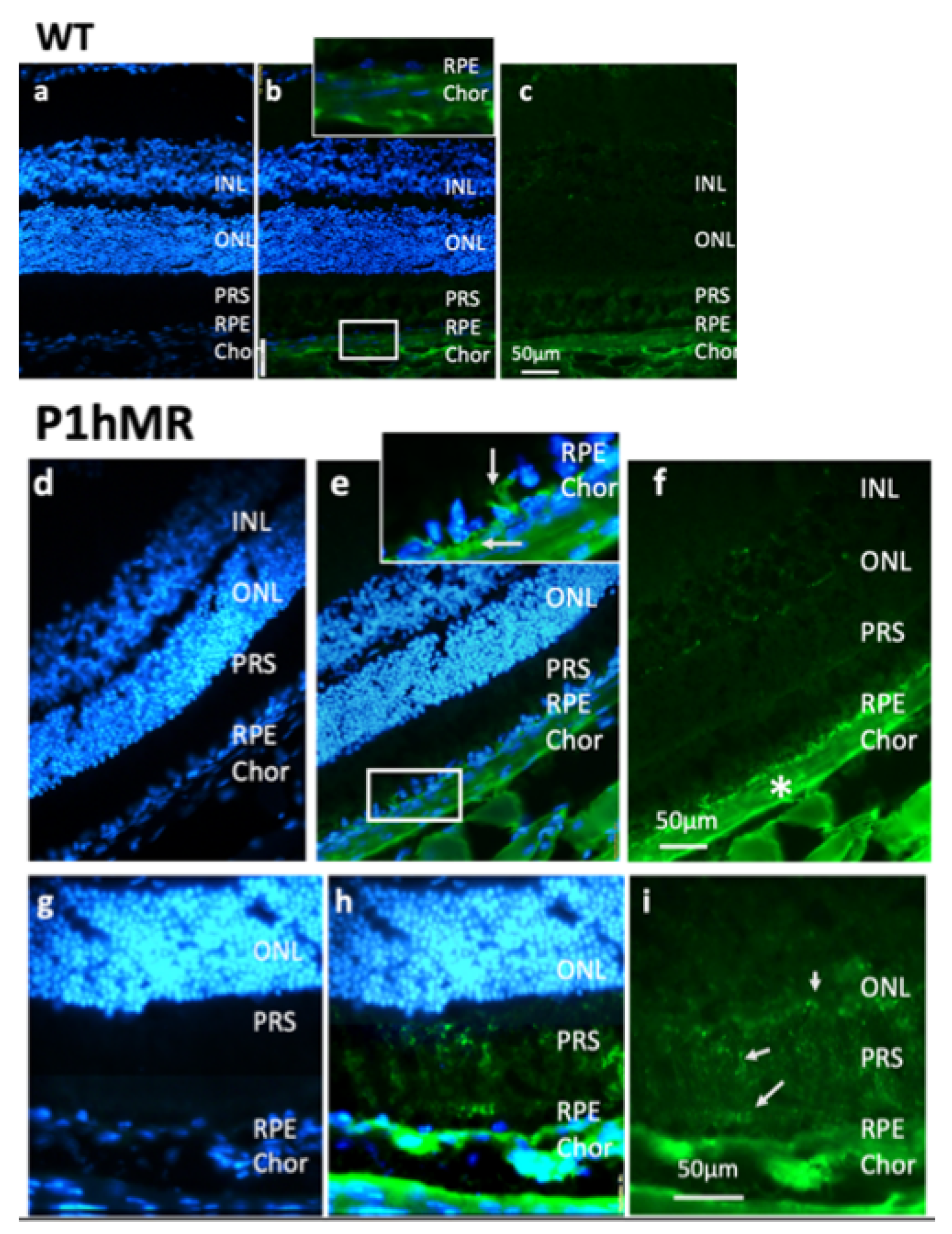 Ijms 22 09618 sch004