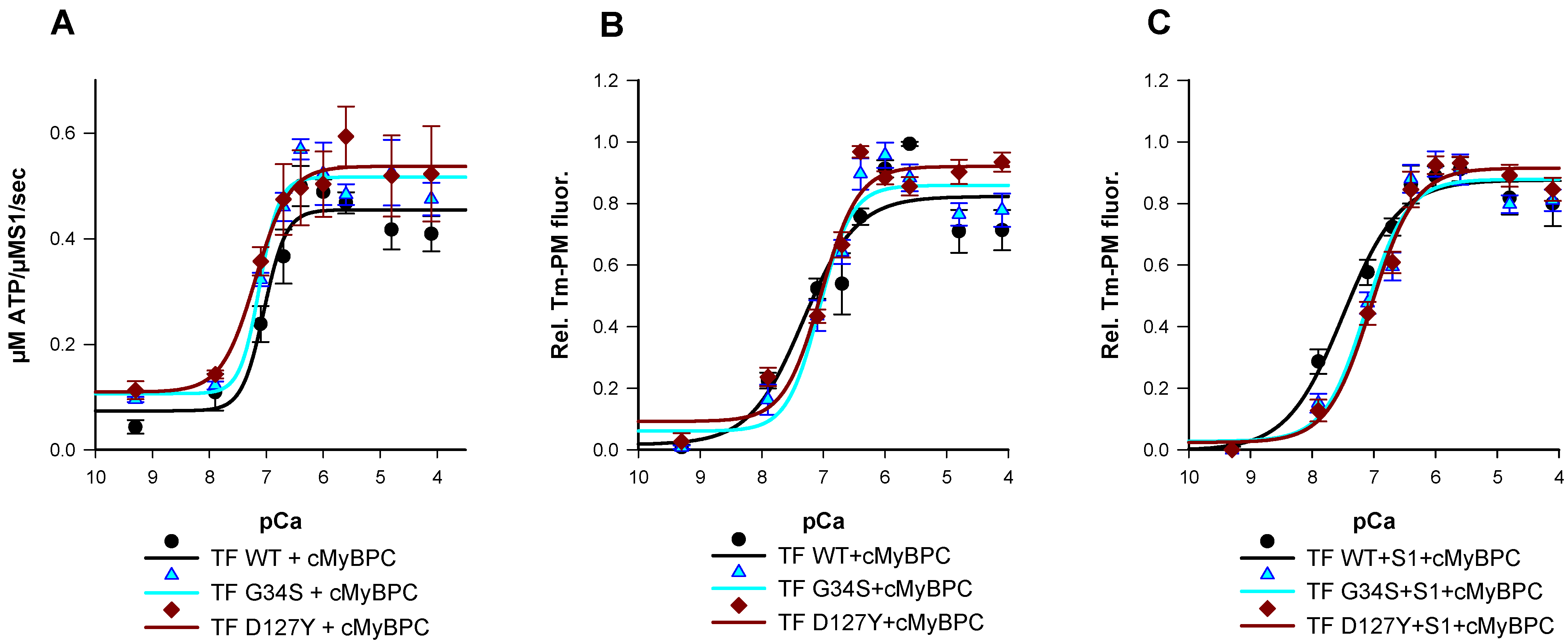 Ijms 22 09625 g003 Ijms 22 09625 g003