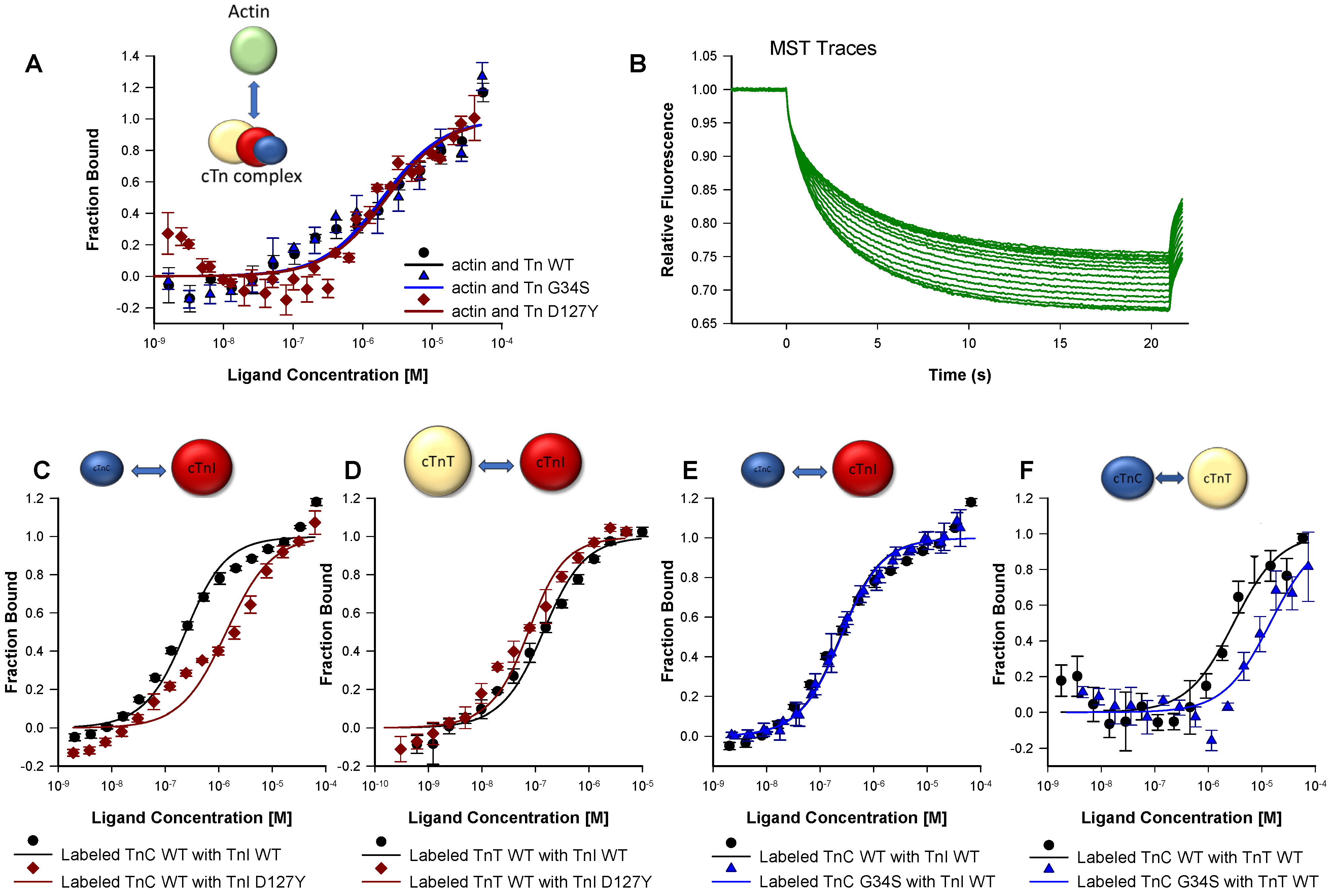 Ijms 22 09625 g004 Ijms 22 09625 g004