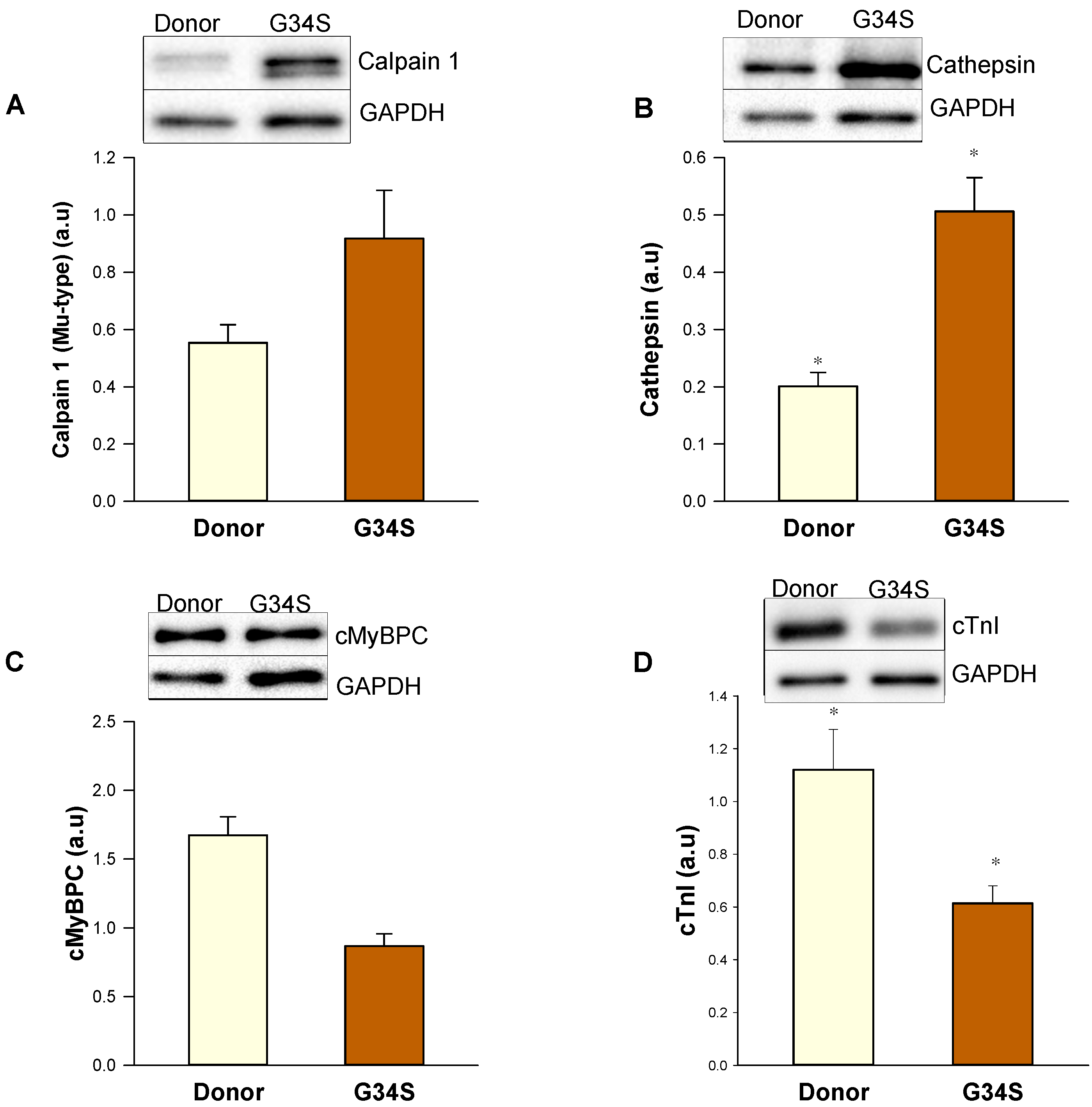 Ijms 22 09625 g006 Ijms 22 09625 g006