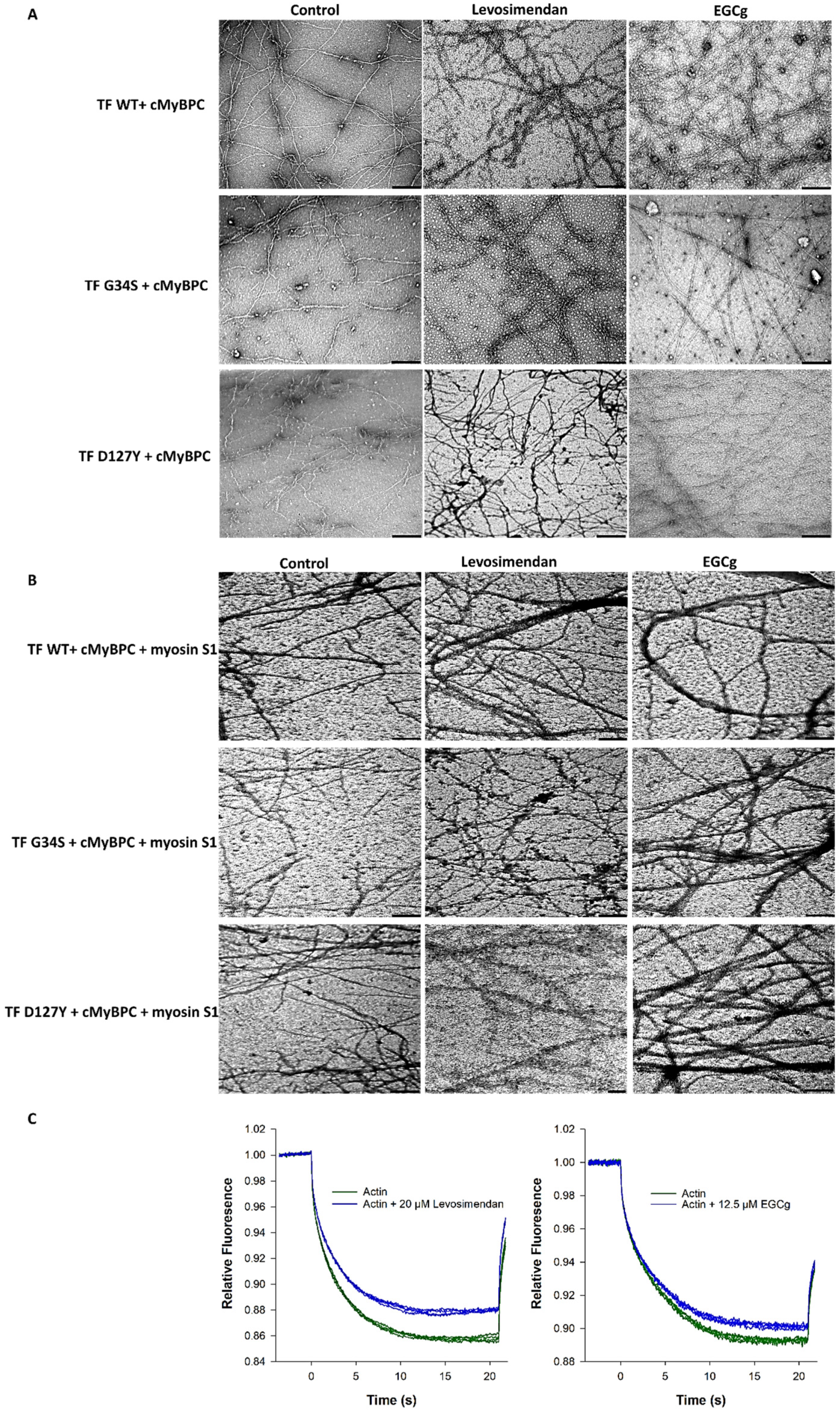 Ijms 22 09625 g007 Ijms 22 09625 g007