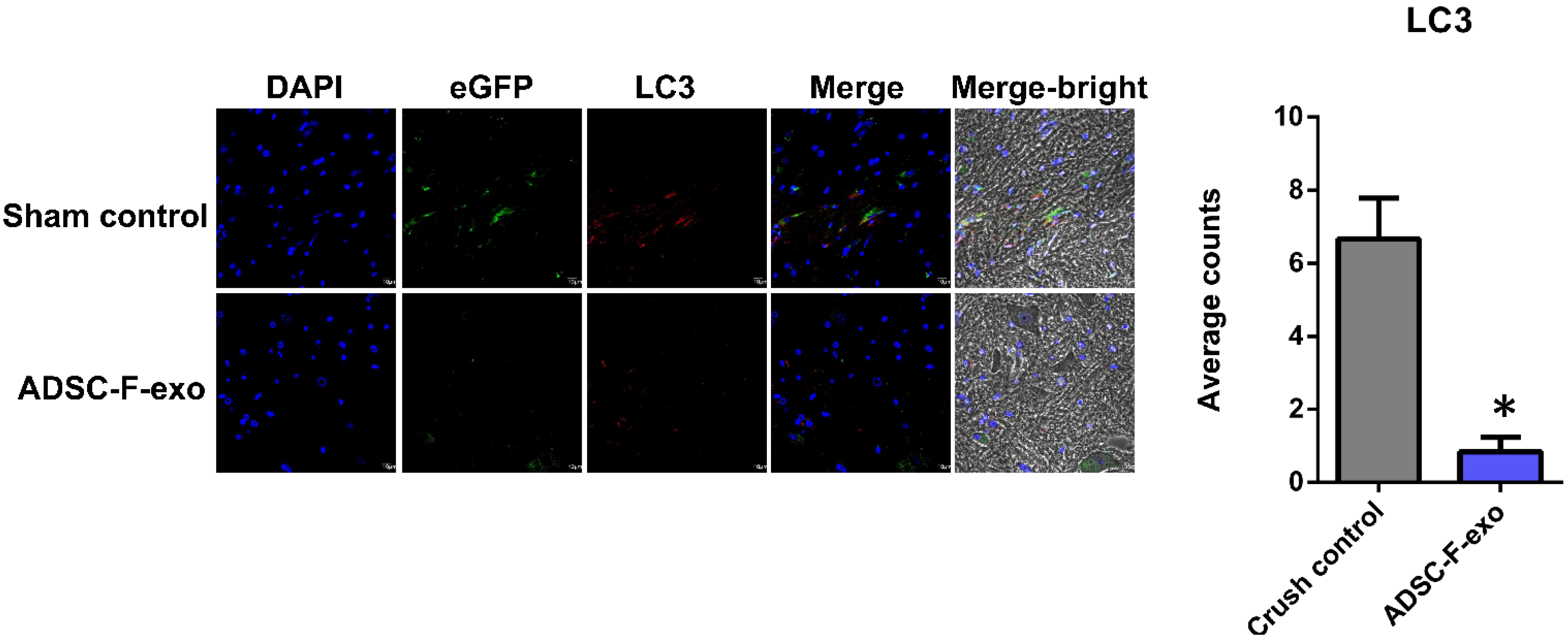 Ijms 22 09628 g004a 550