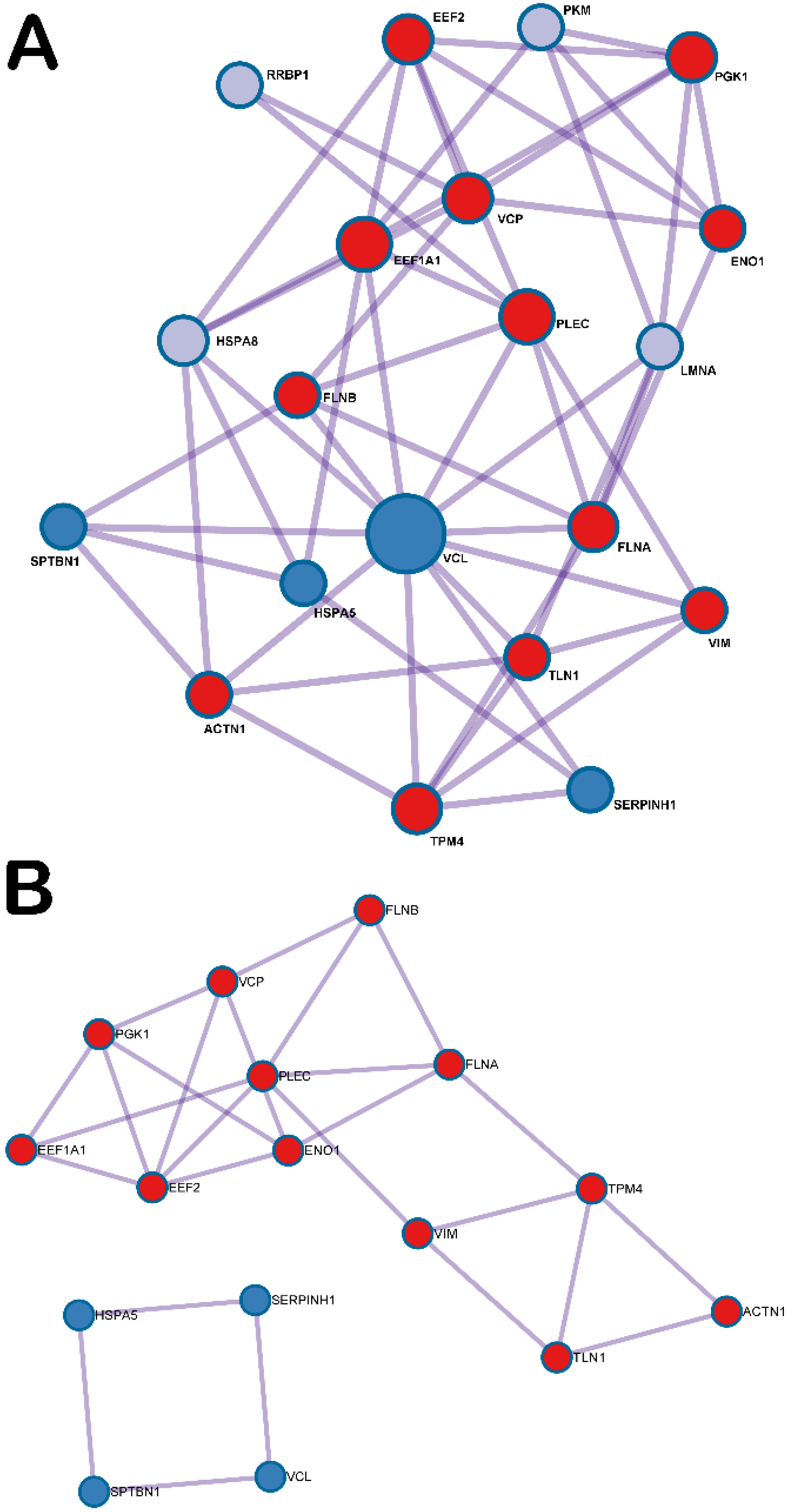 Ijms 22 09628 g005 550