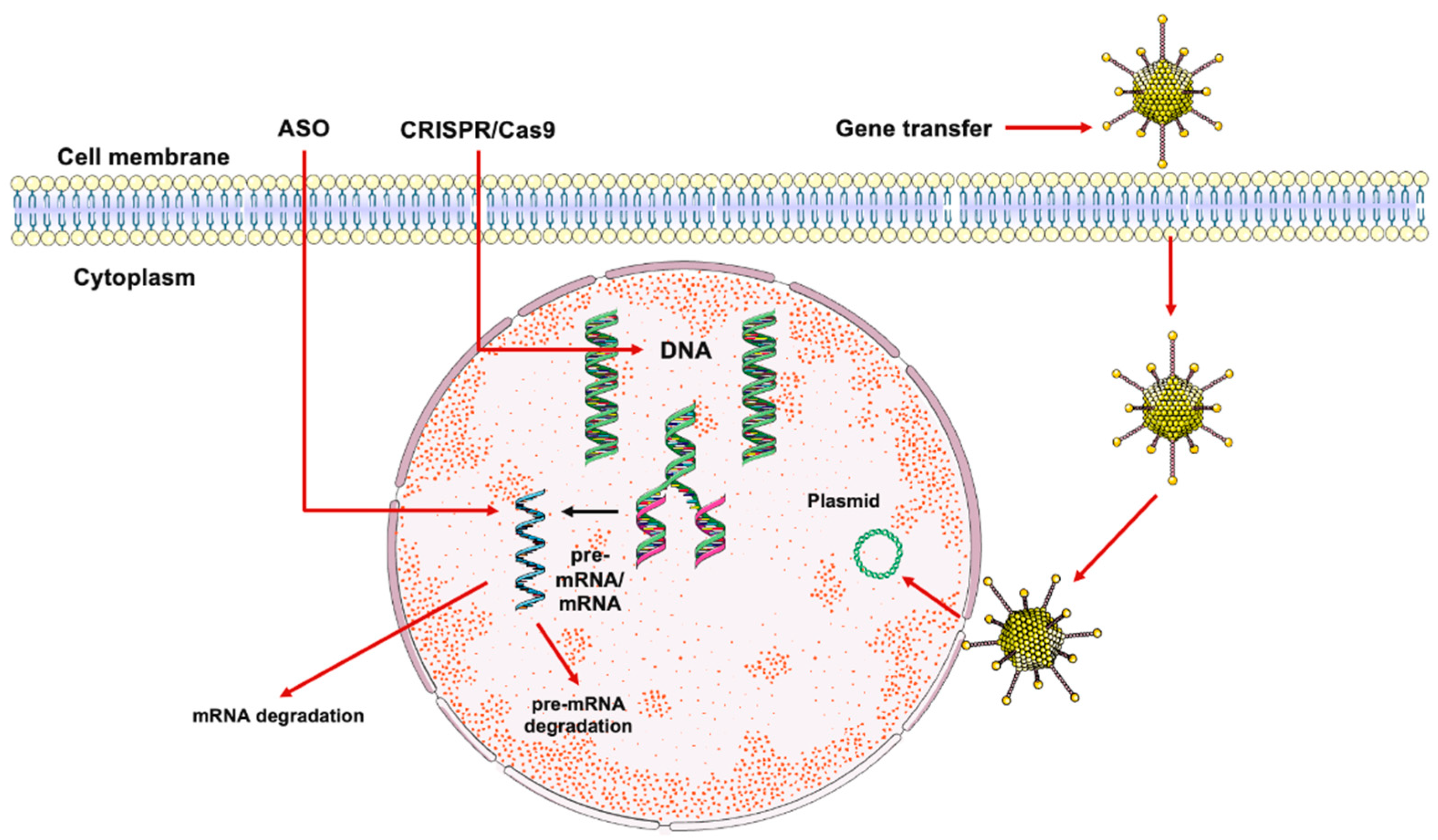 Ijms 22 09630 g001 550