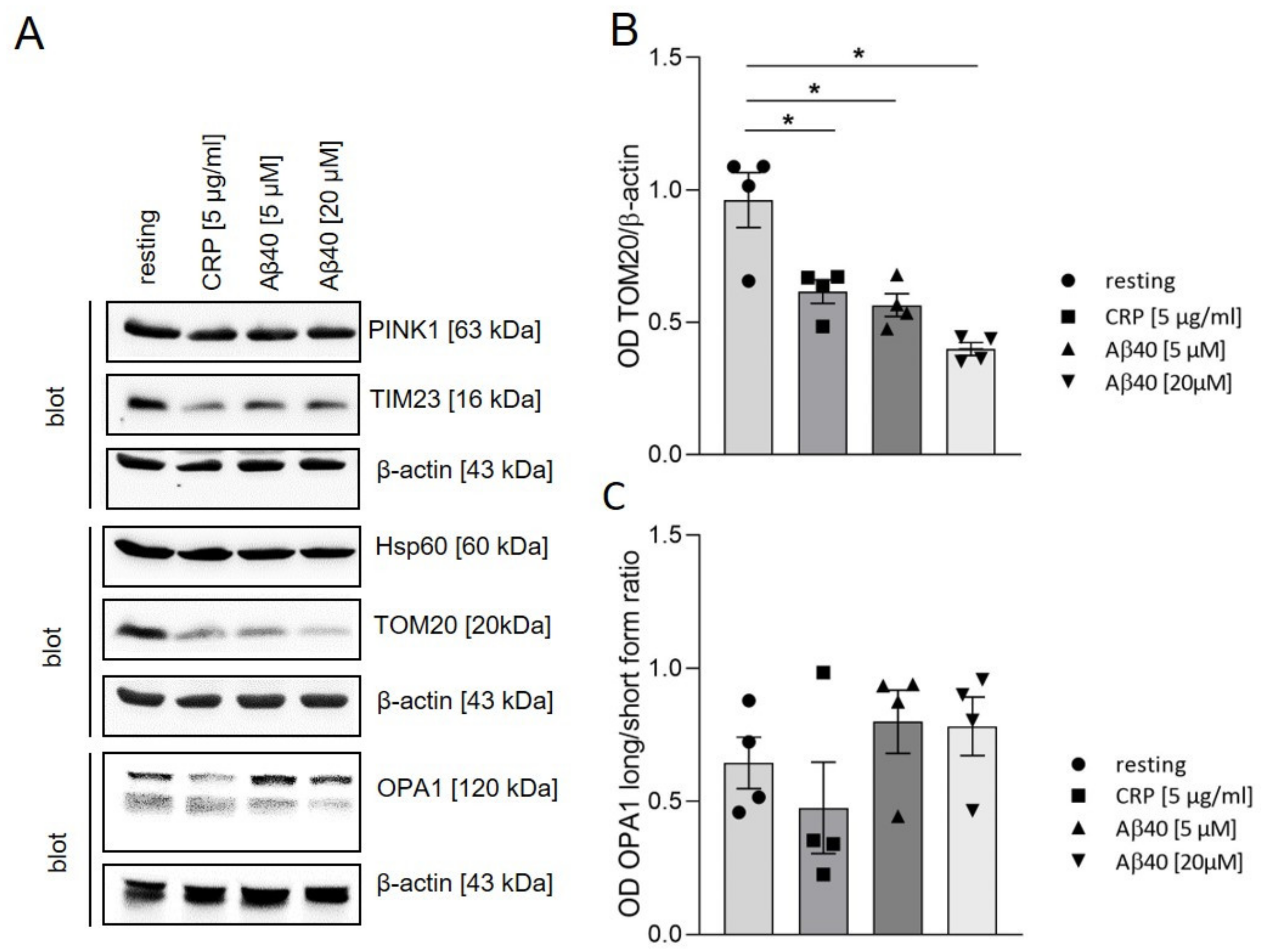 Ijms 22 09633 g003 550