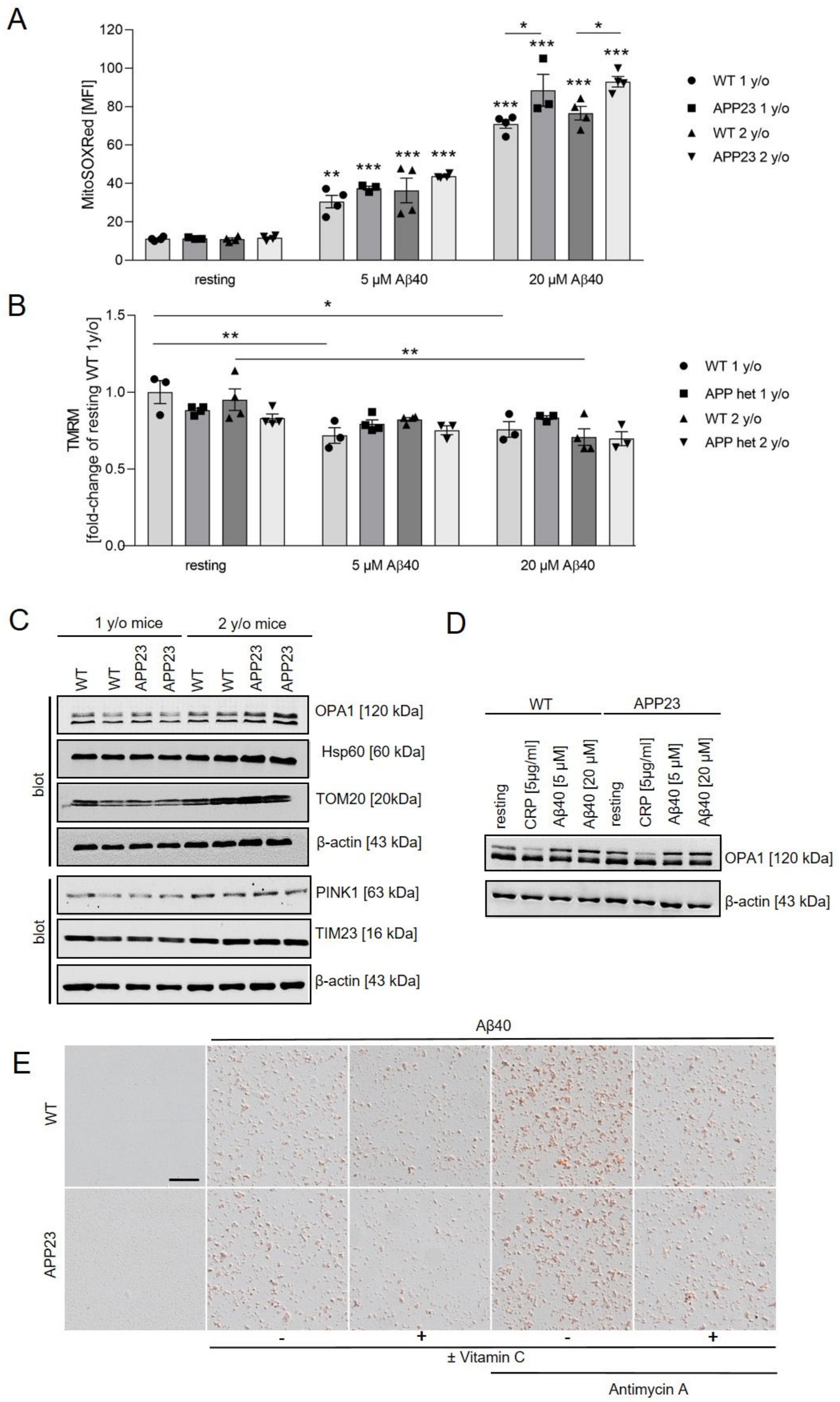 Ijms 22 09633 g006 550