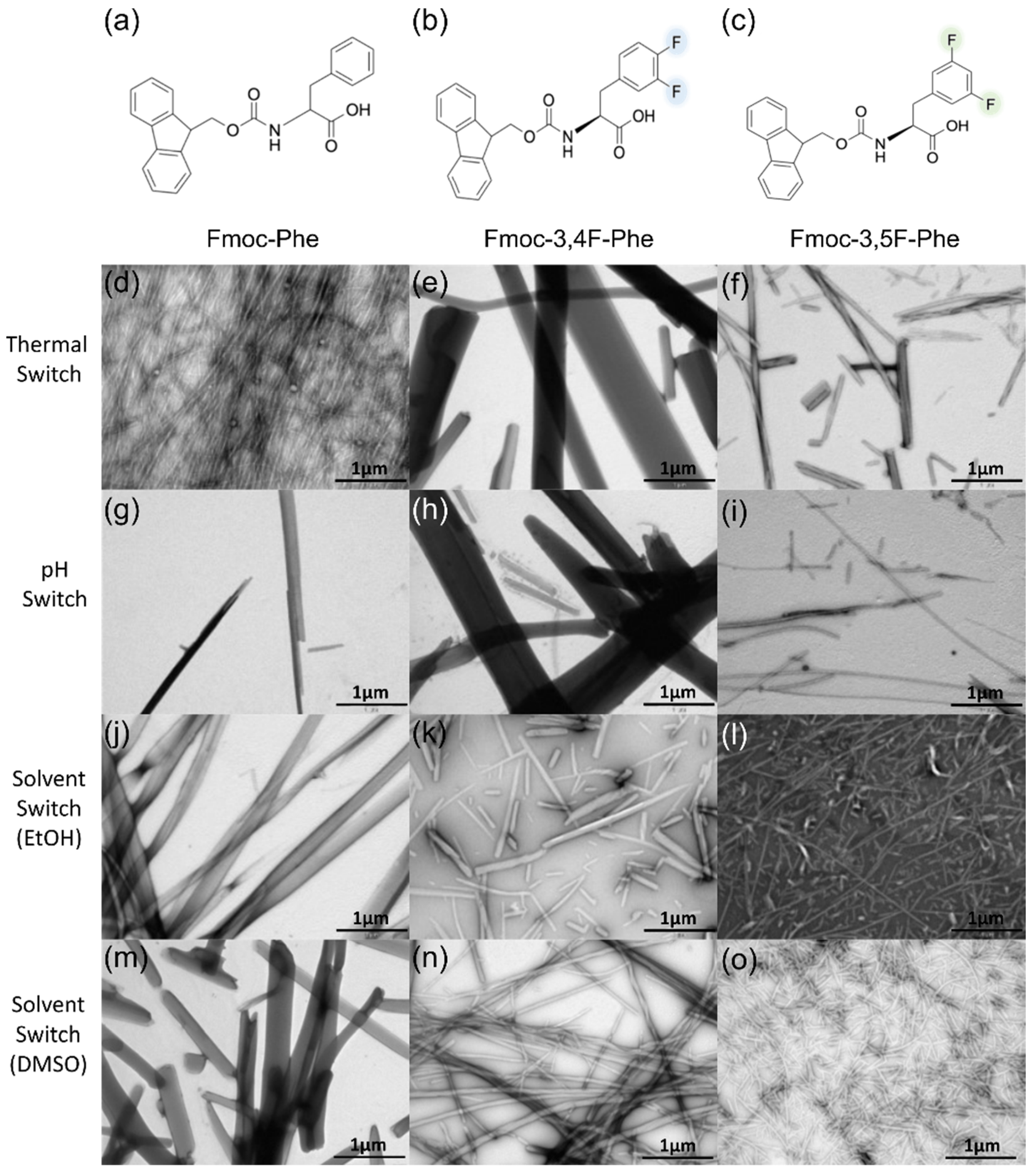 Ijms 22 09634 g001 550