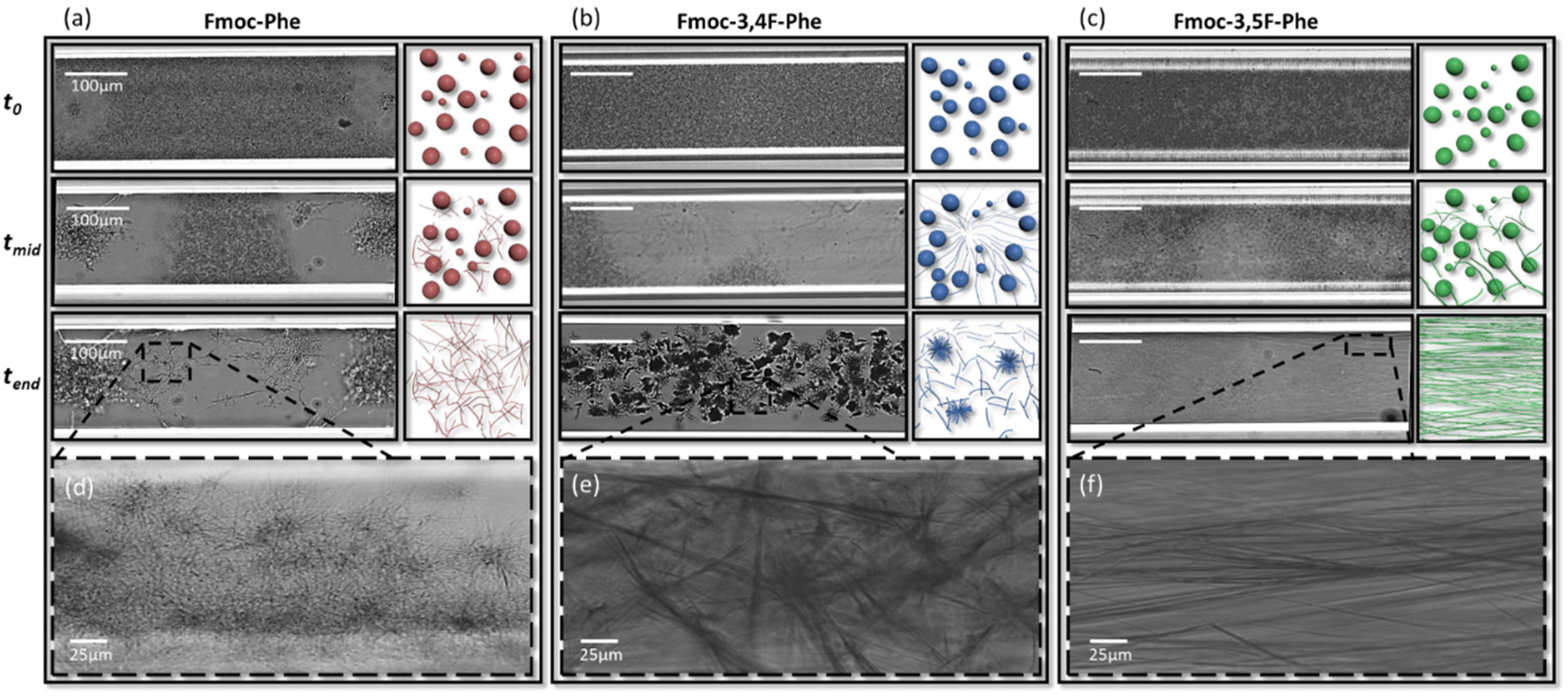 Ijms 22 09634 g004 550