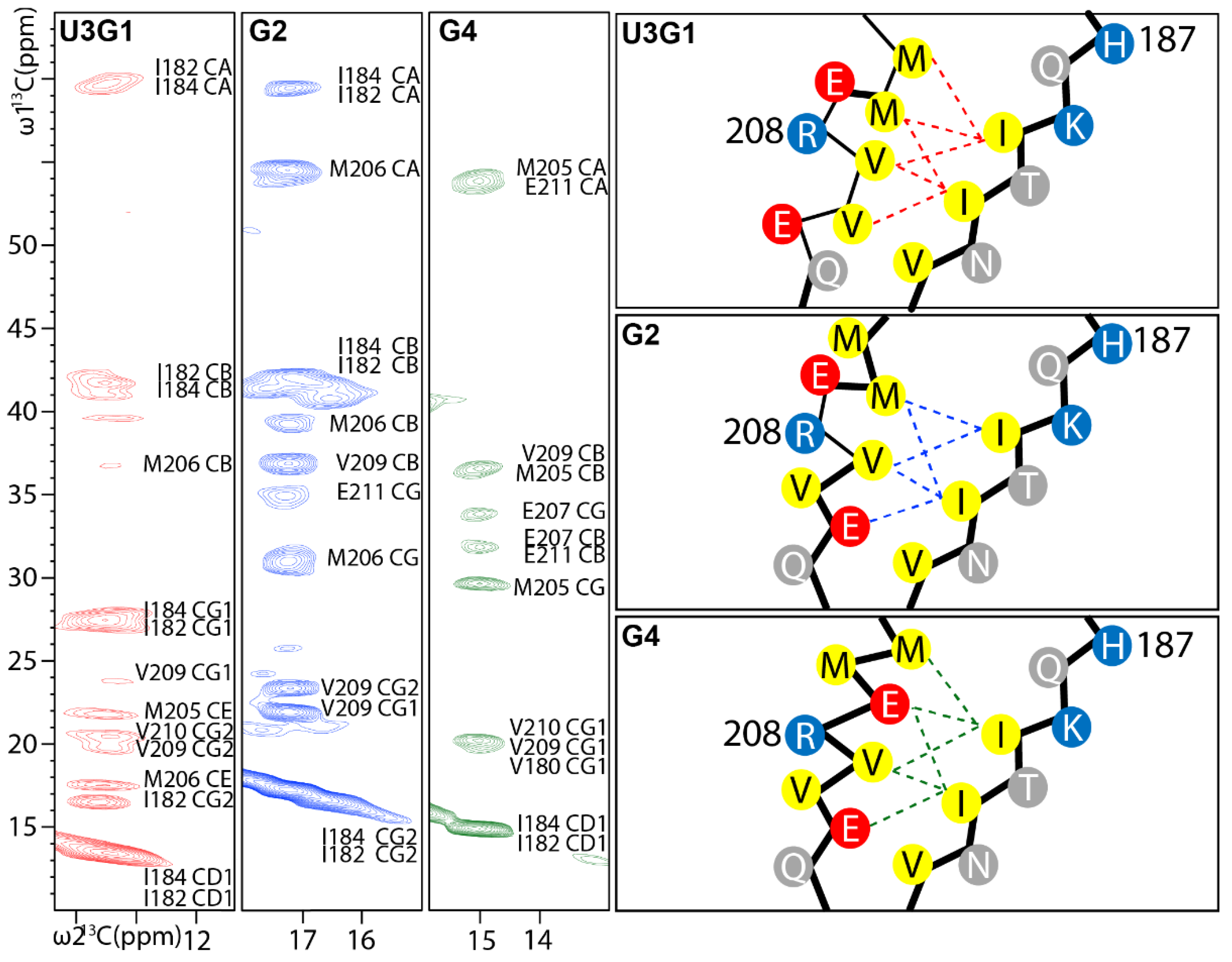 Ijms Free Full Text Aggregation Condition Structure Relationship Of Mouse Prion Protein Fibrils Html Ijms Free Full Text Aggregation Condition Structure Relationship Of Mouse Prion Protein Fibrils Html