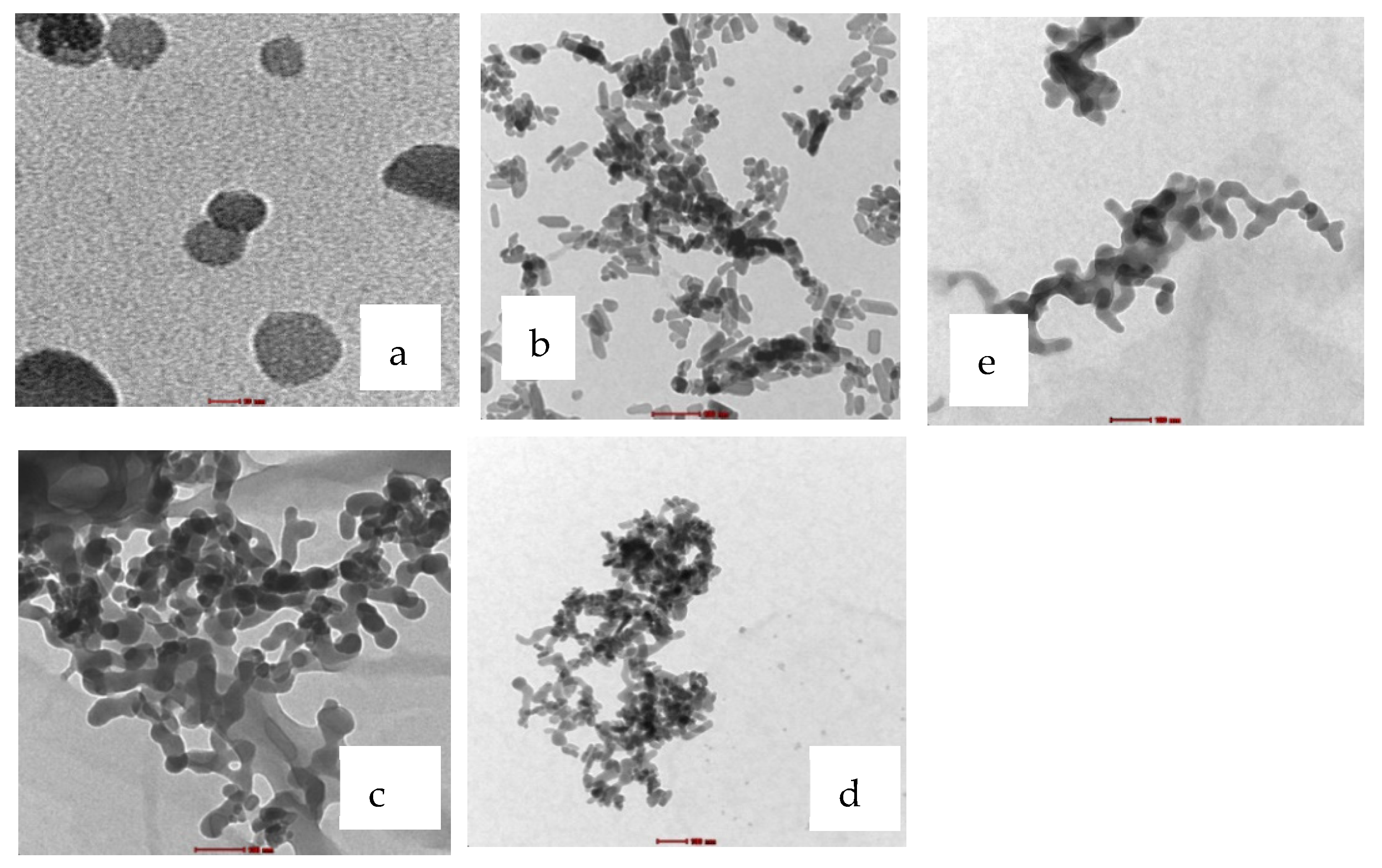 Ijms 22 09637 g003 550