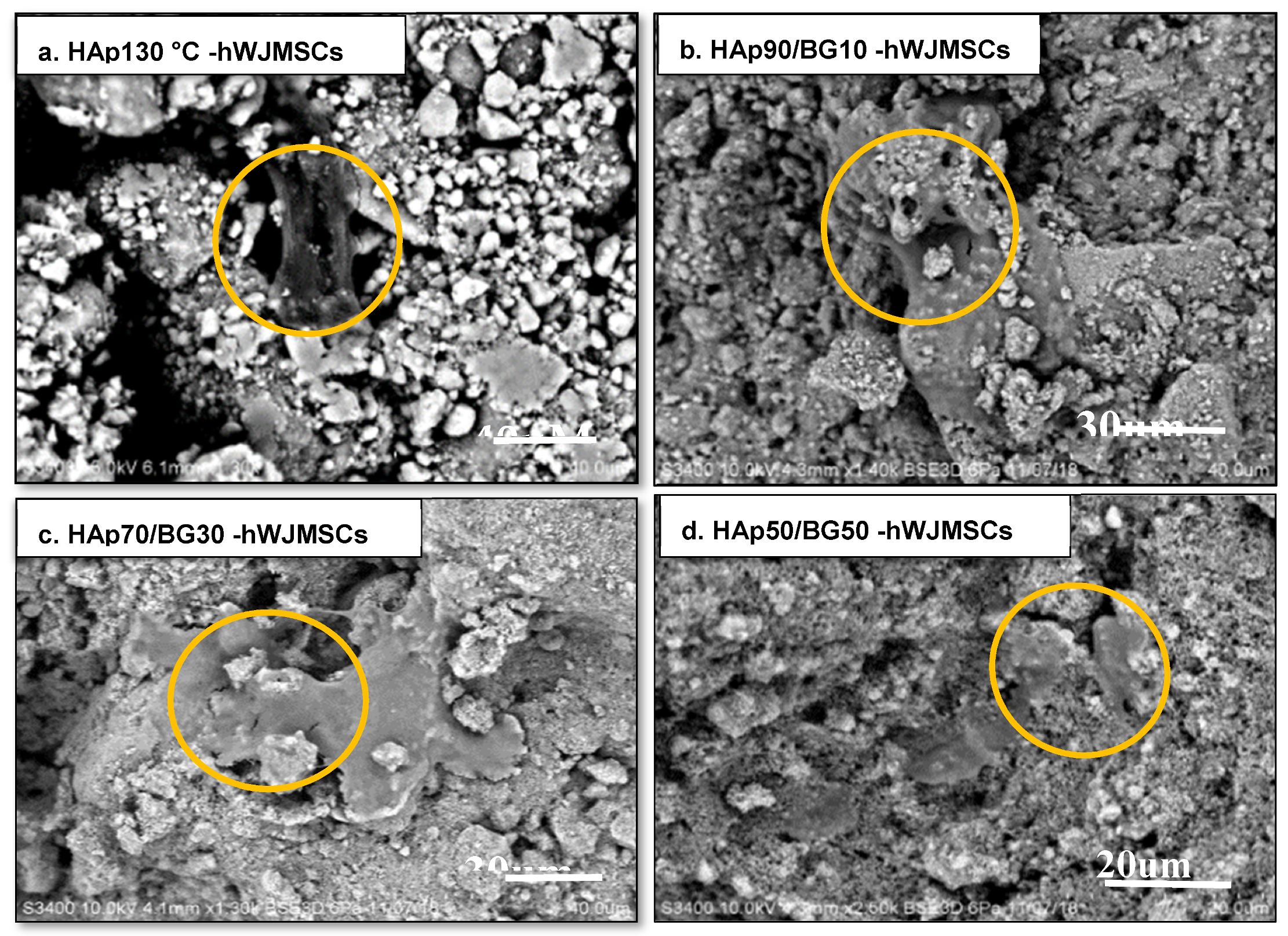 Ijms 22 09637 g004 550