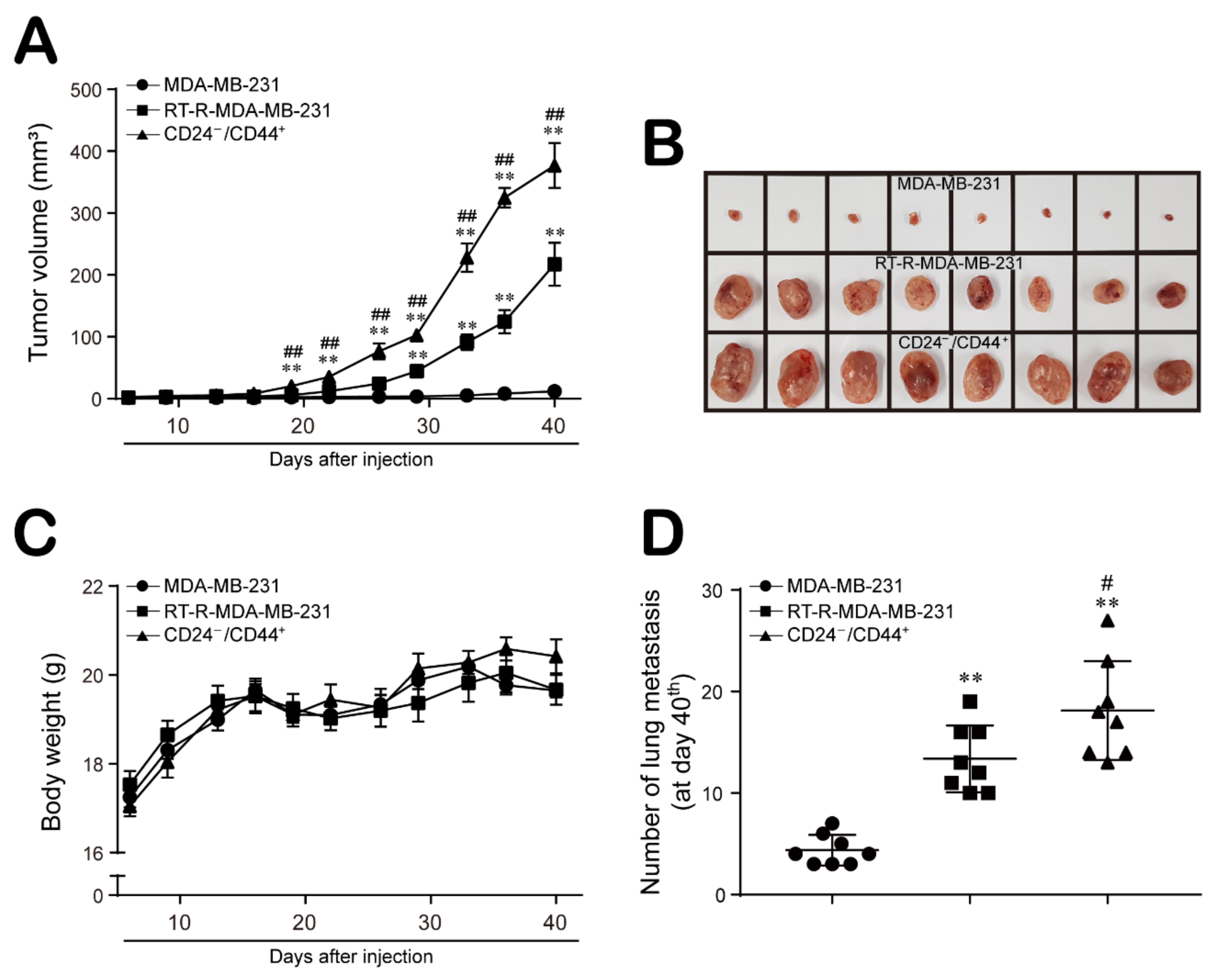 Ijms 22 09639 g005 550