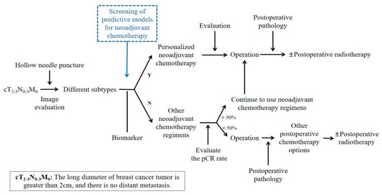 New Advances in the Research of Resistance to Neoadjuvant