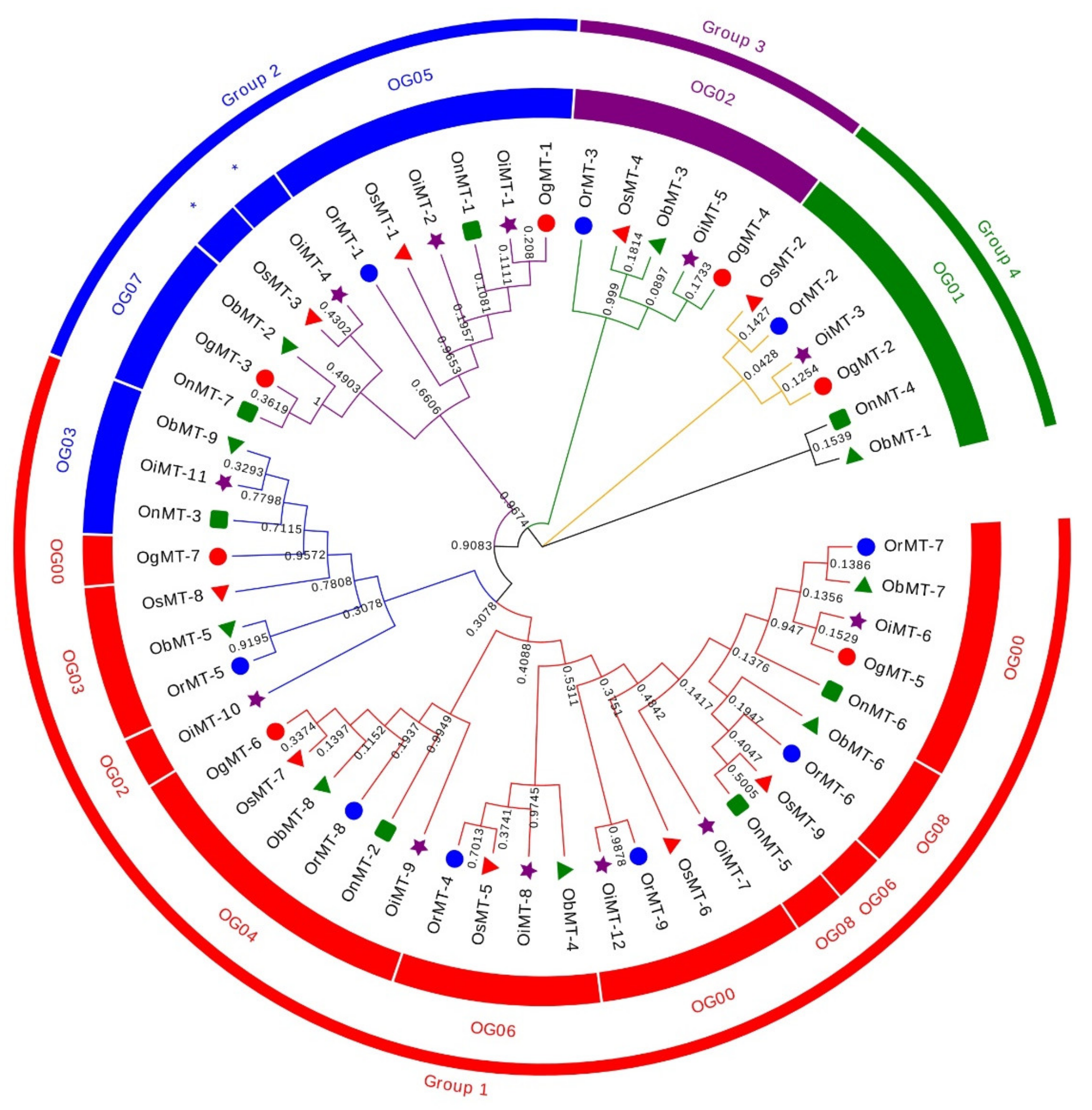 Ijms 22 09651 g001 550