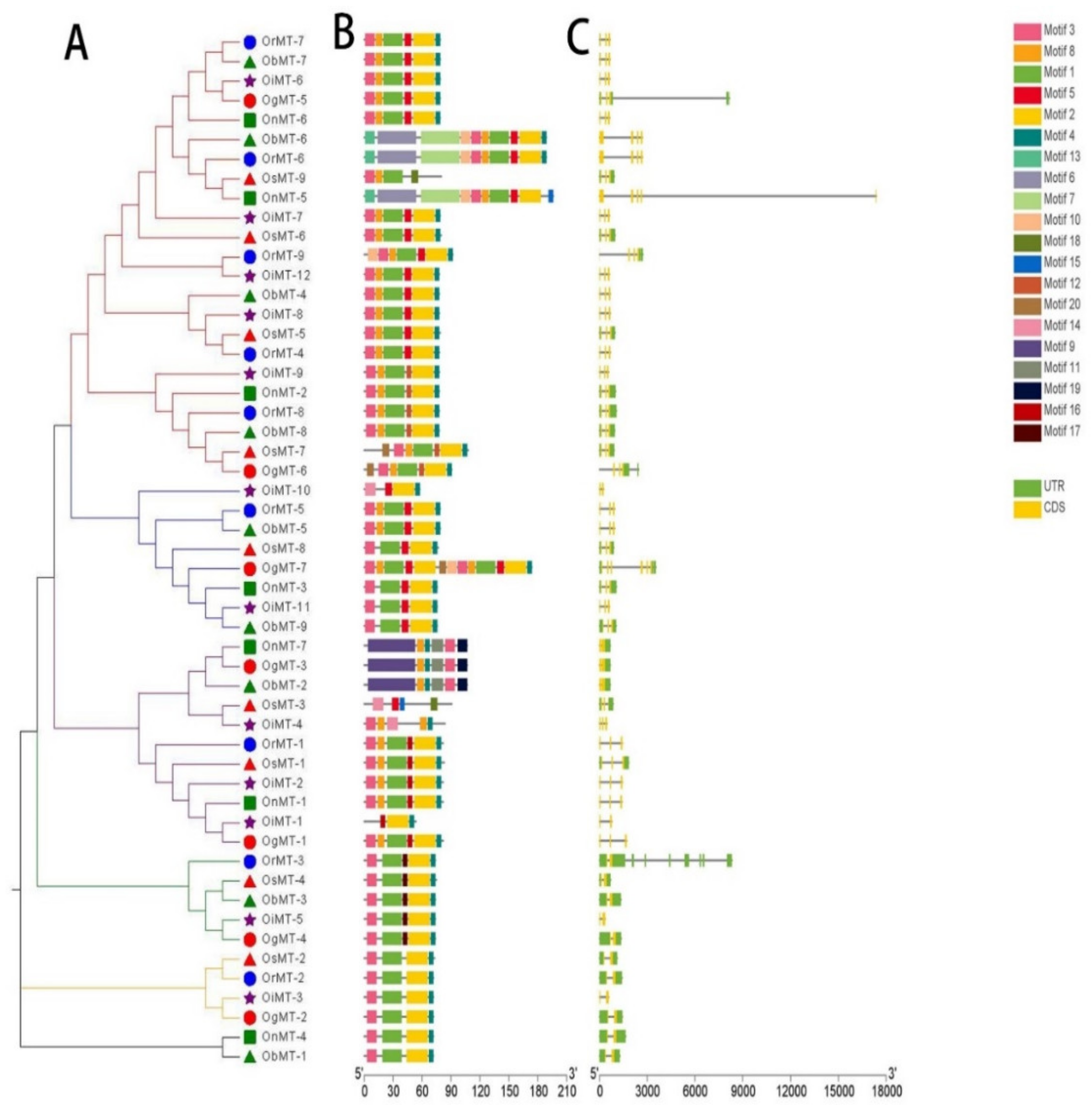 Ijms 22 09651 g002 550