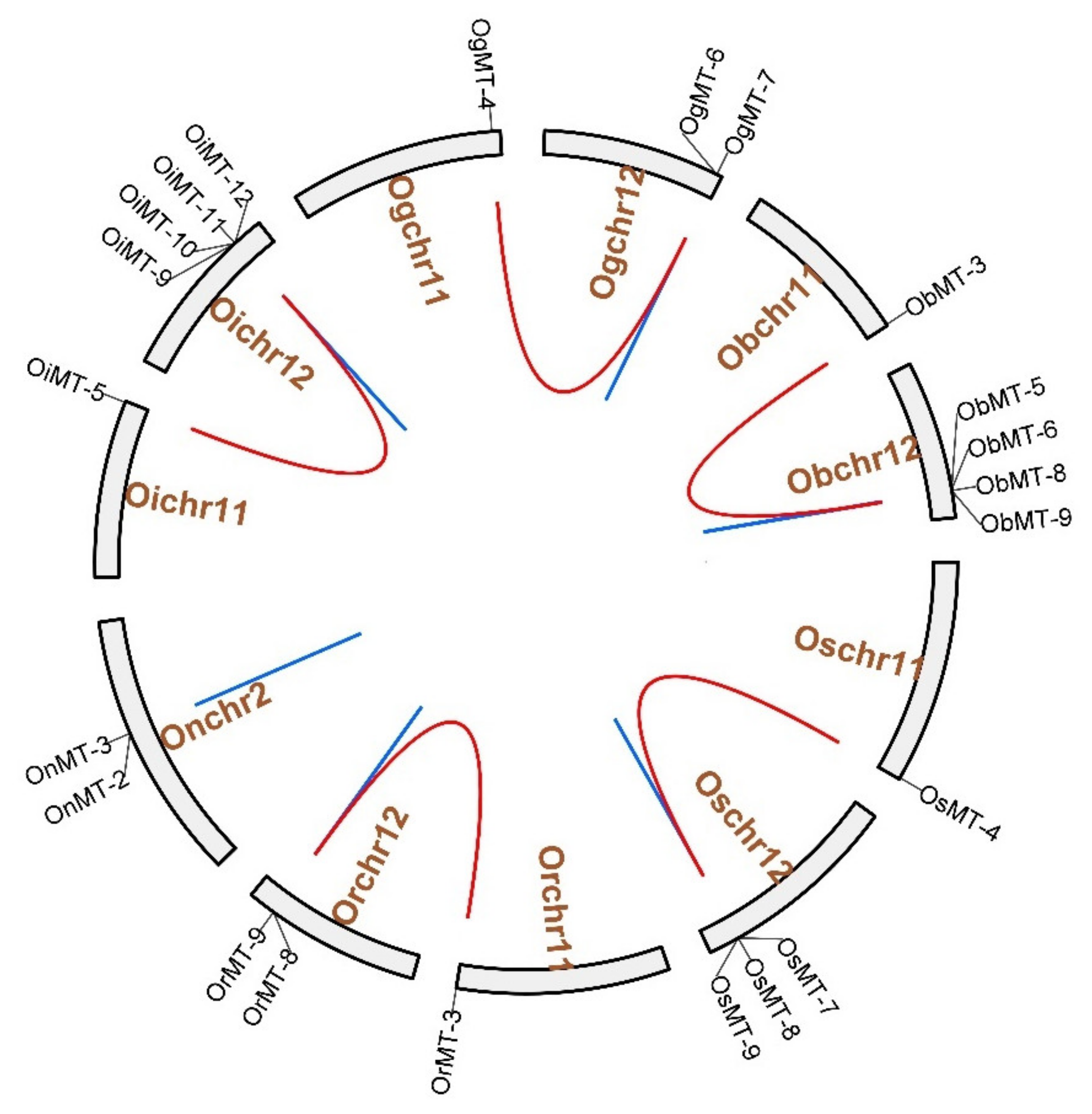 Ijms 22 09651 g003 550