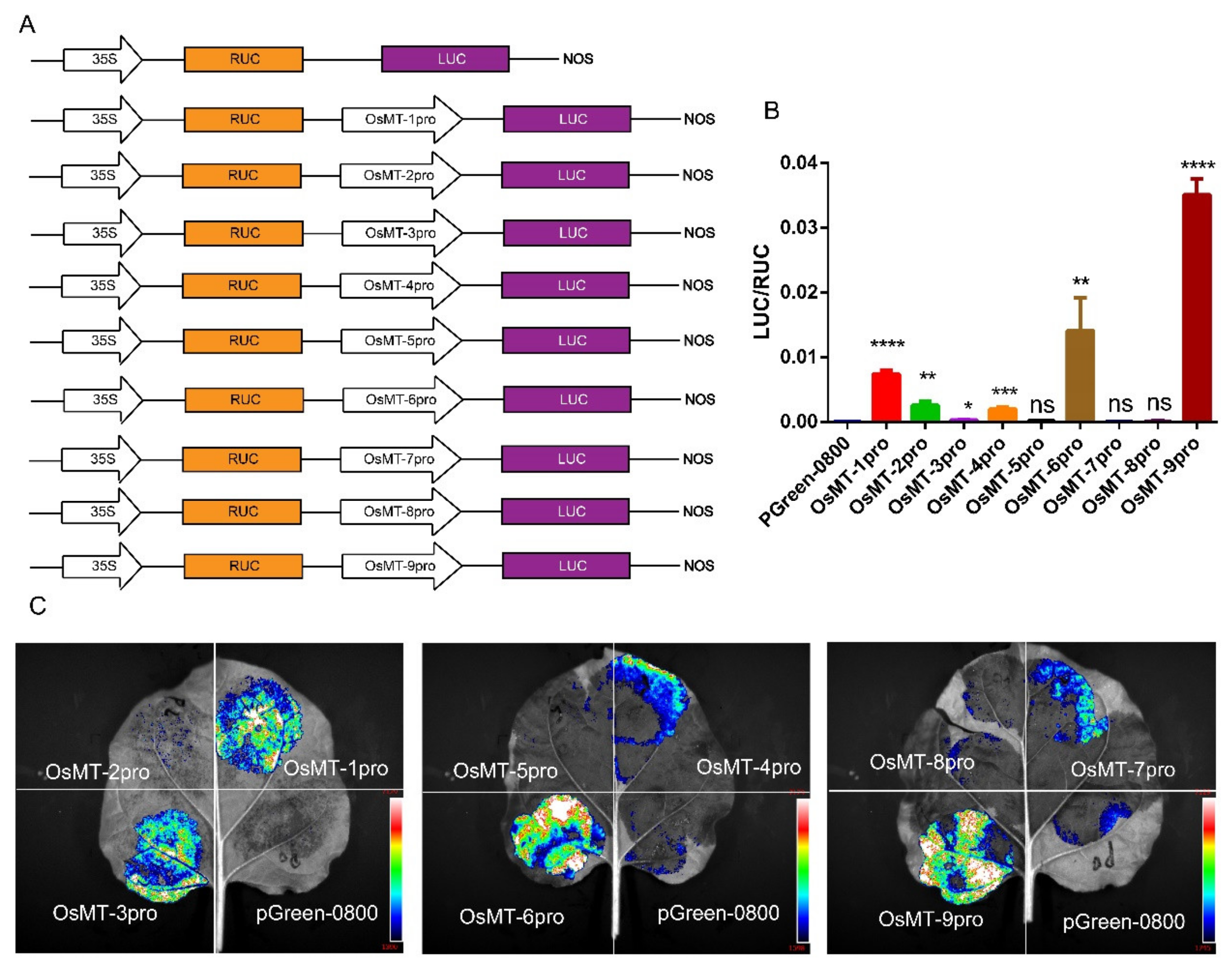 Ijms 22 09651 g004 550