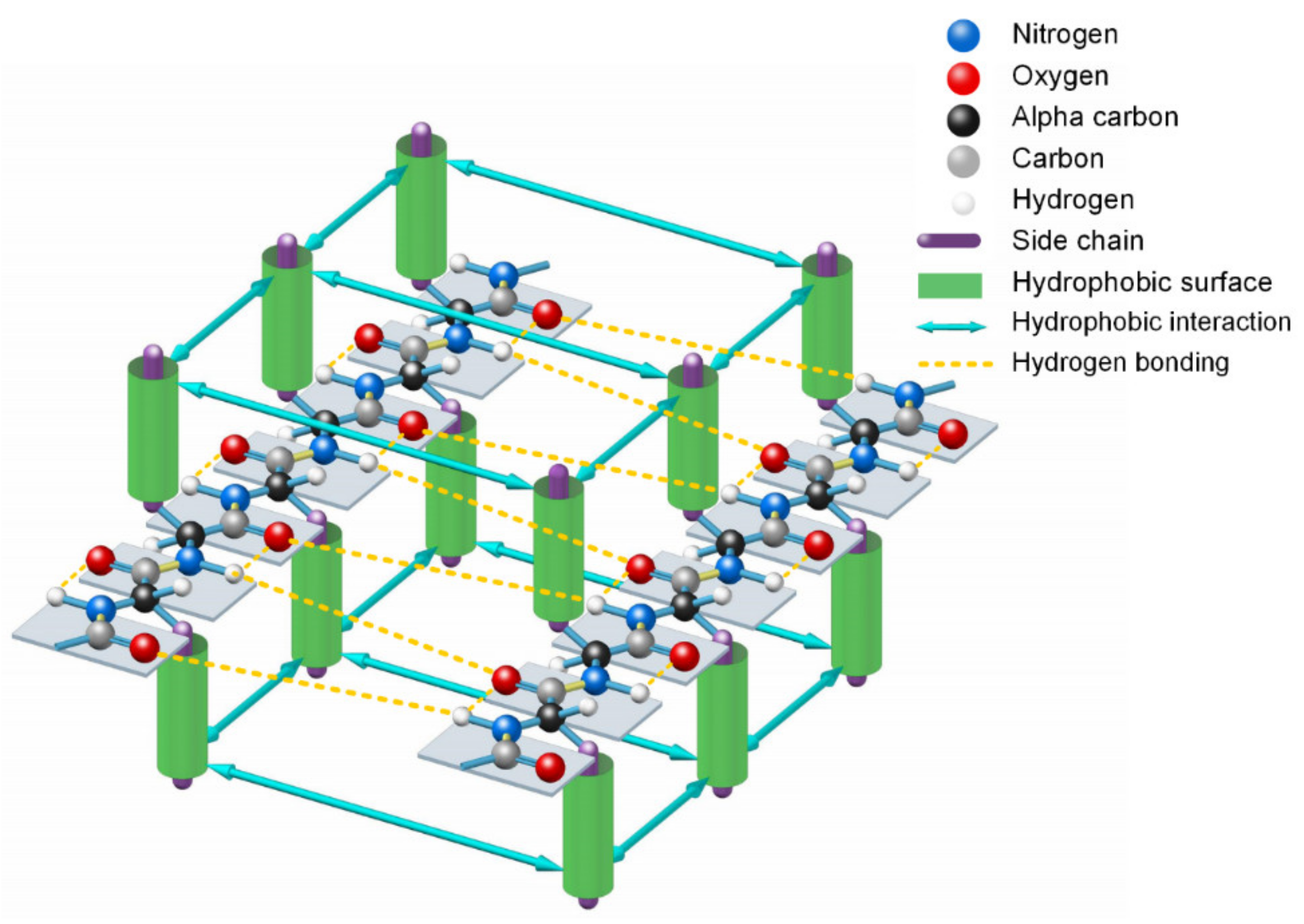 Ijms 22 09653 g003 550