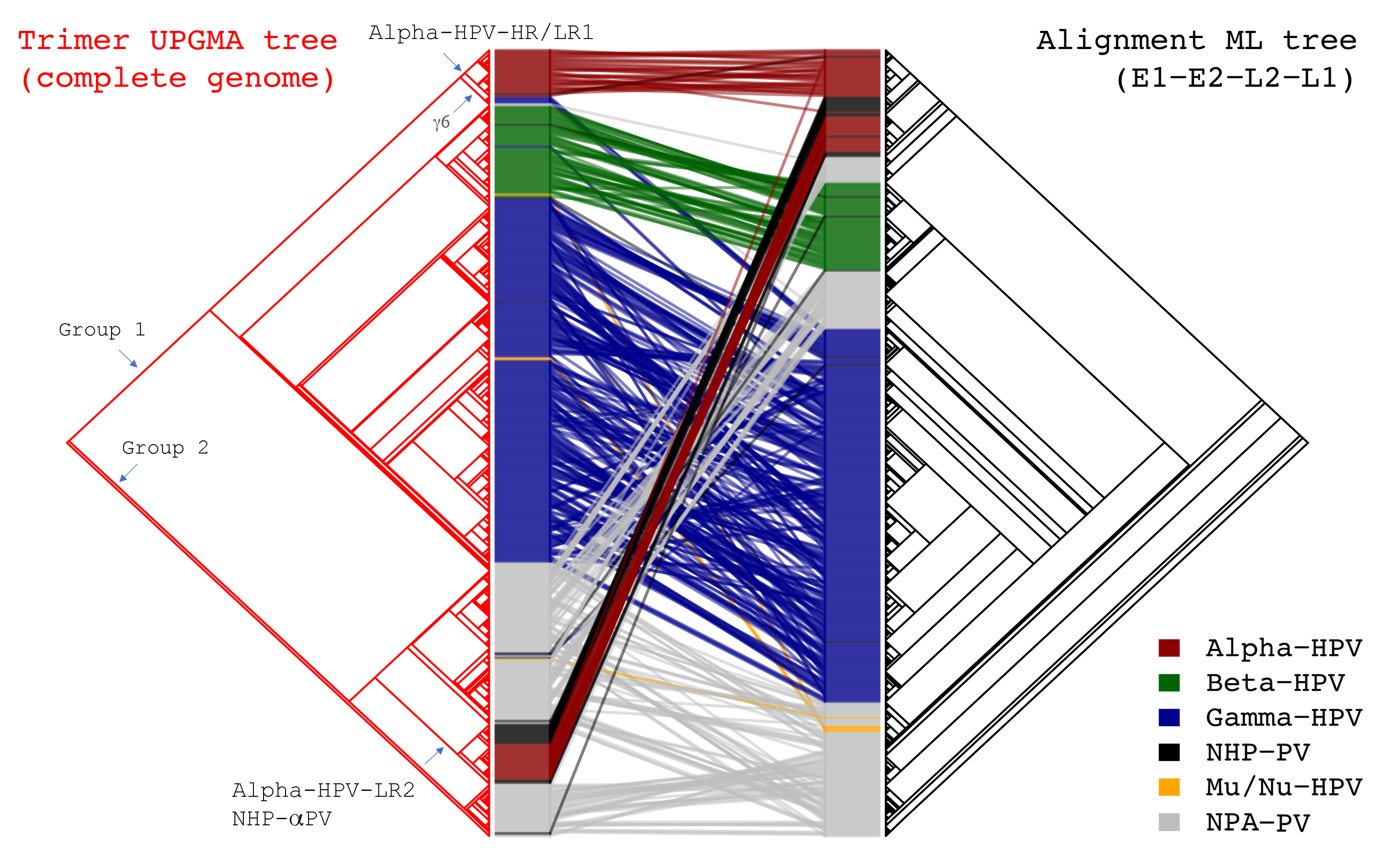 Ijms 22 09657 g003 Ijms 22 09657 g003