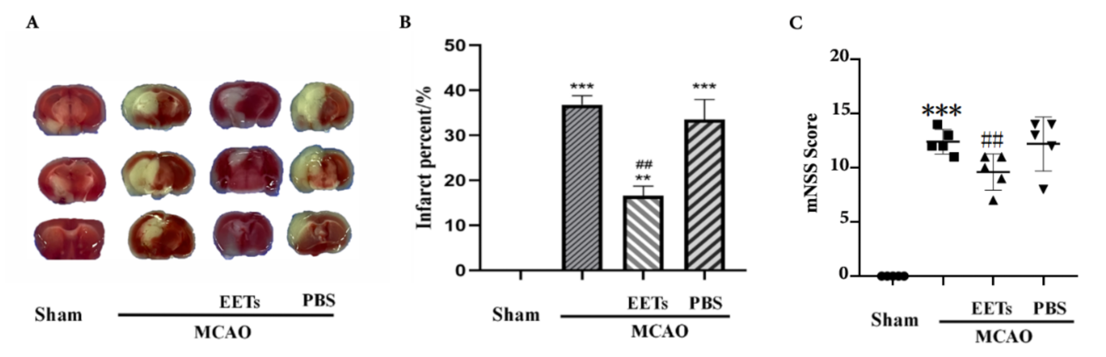 Ijms 22 09660 g001 550