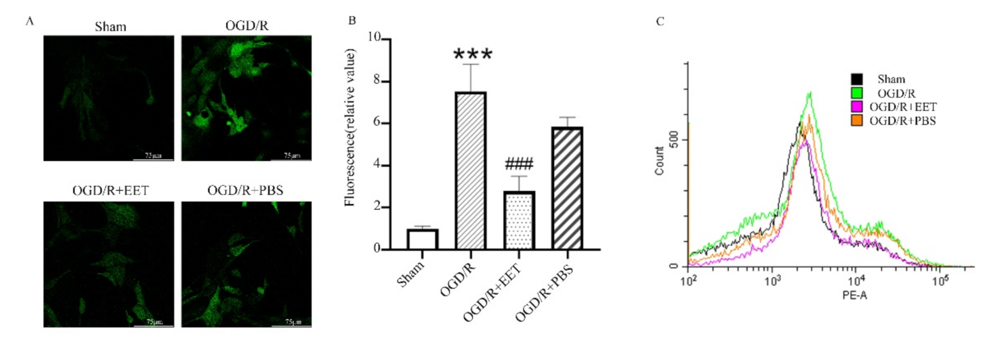 Ijms 22 09660 g006 550