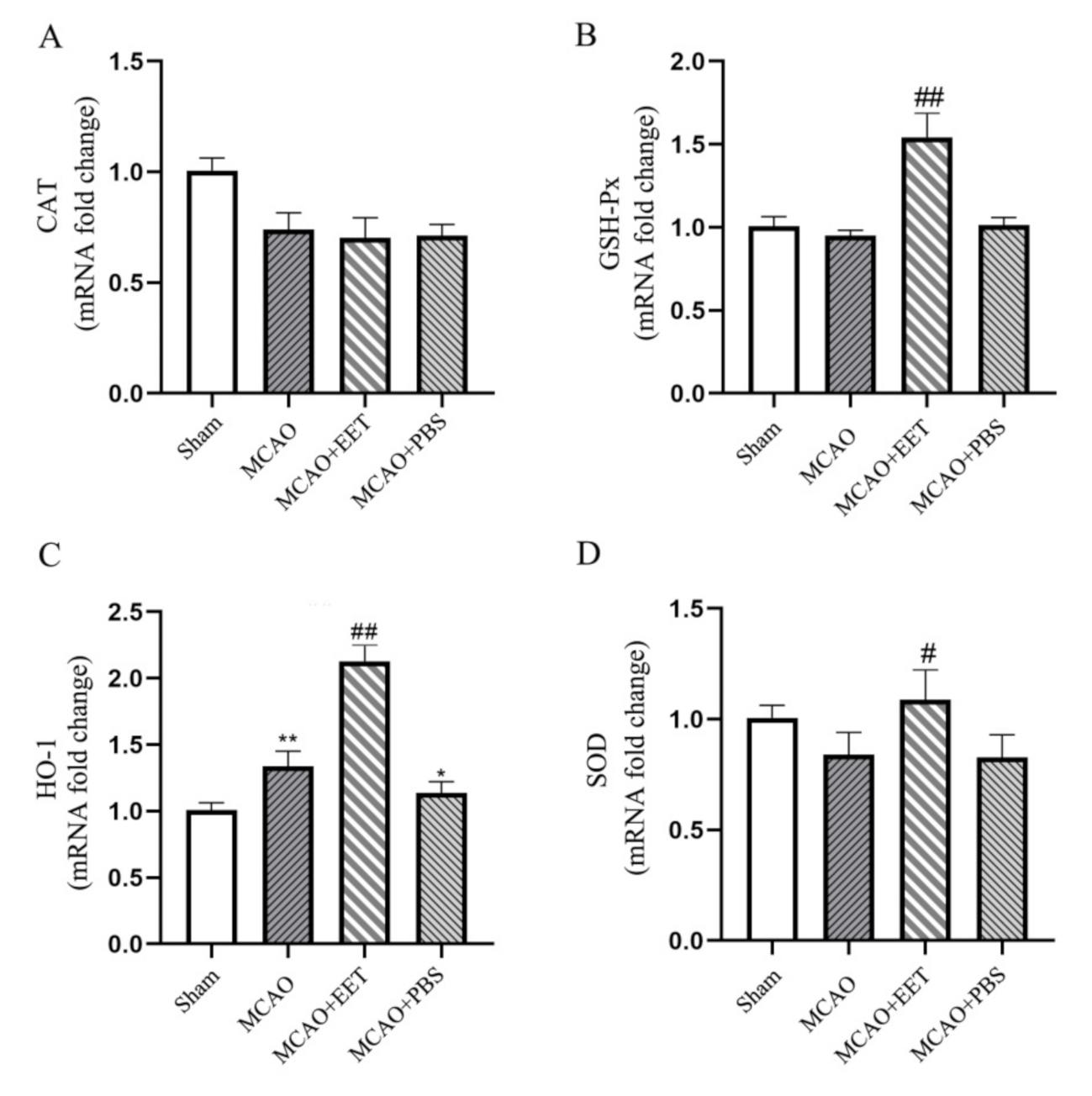 Ijms 22 09660 g007 550
