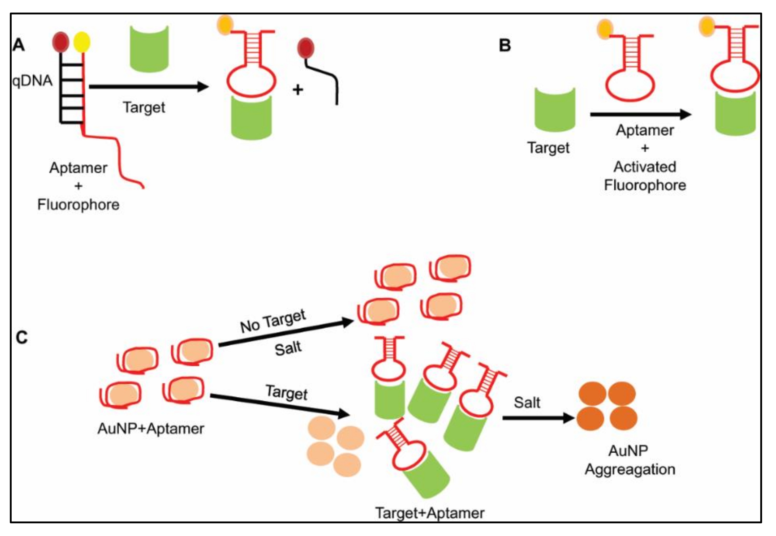 Ijms 22 09661 g001 550