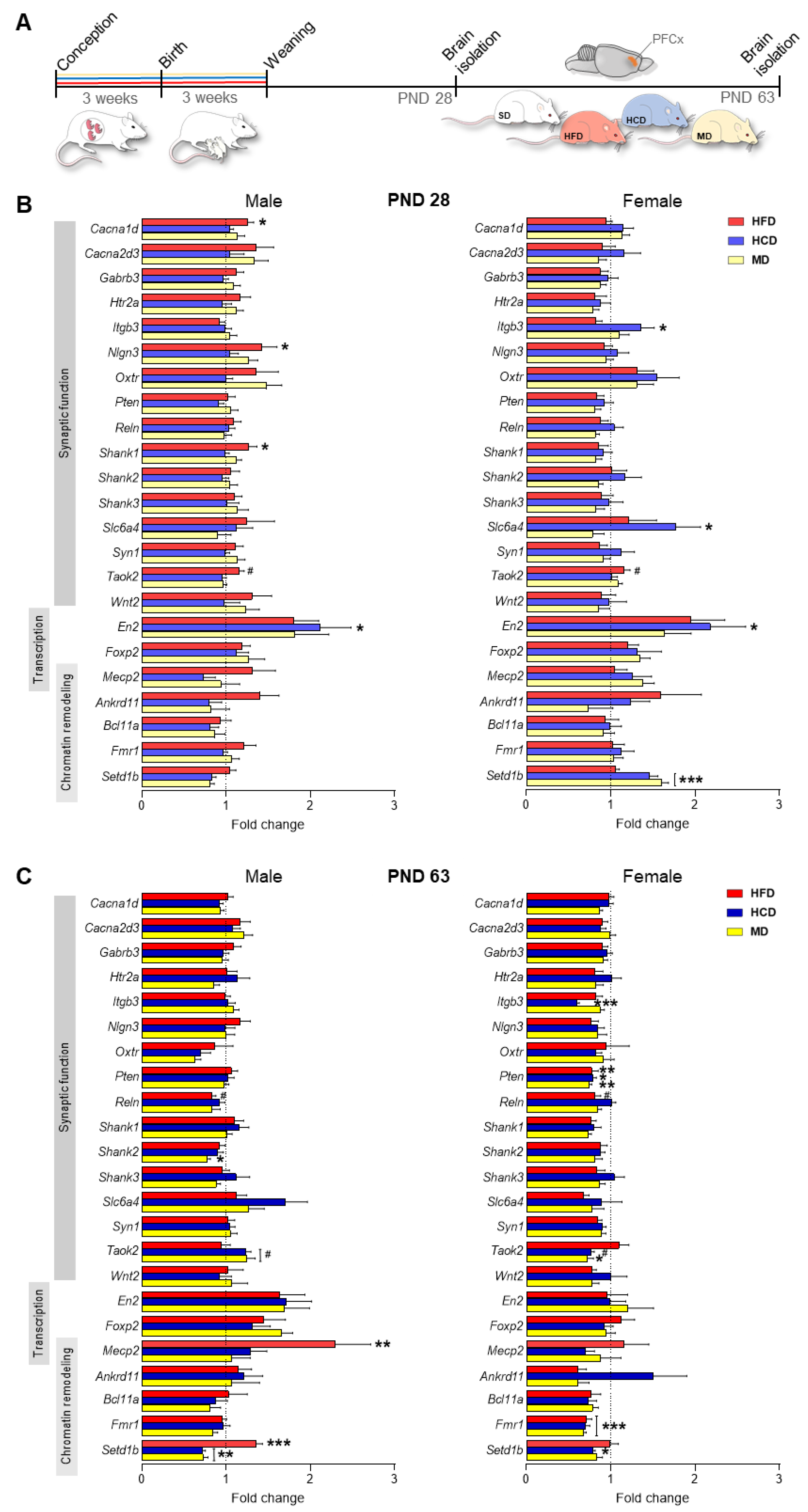 Ijms 22 09662 g001 550