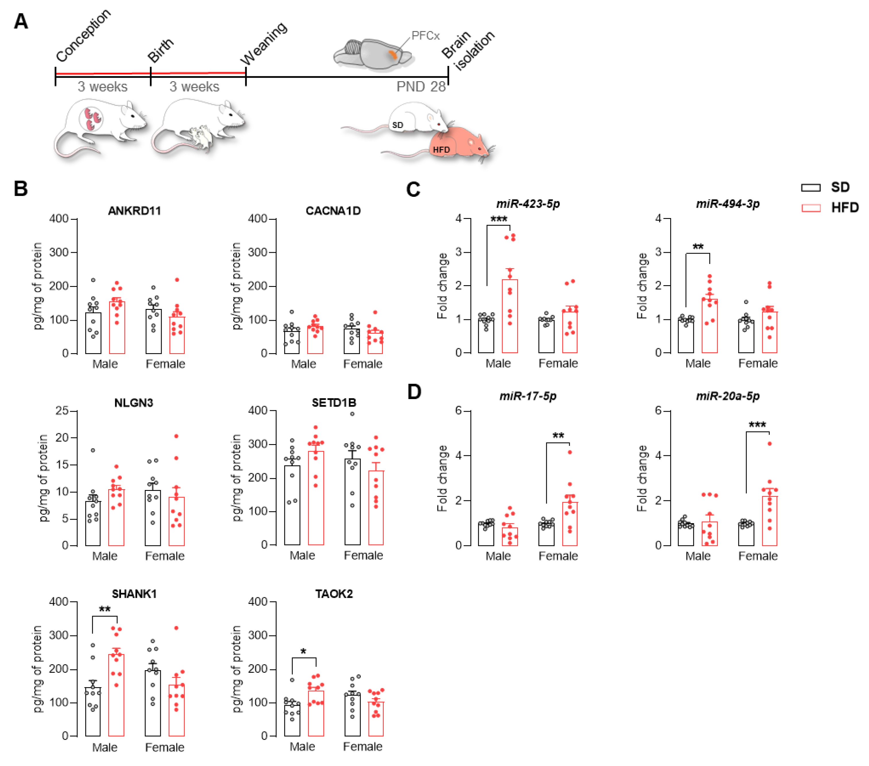 Ijms 22 09662 g004 550