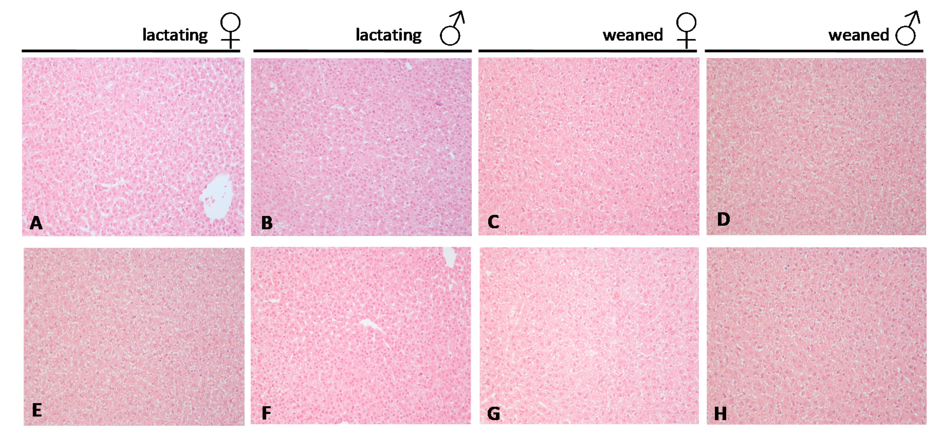 Ijms 22 09666 g003 Ijms 22 09666 g003