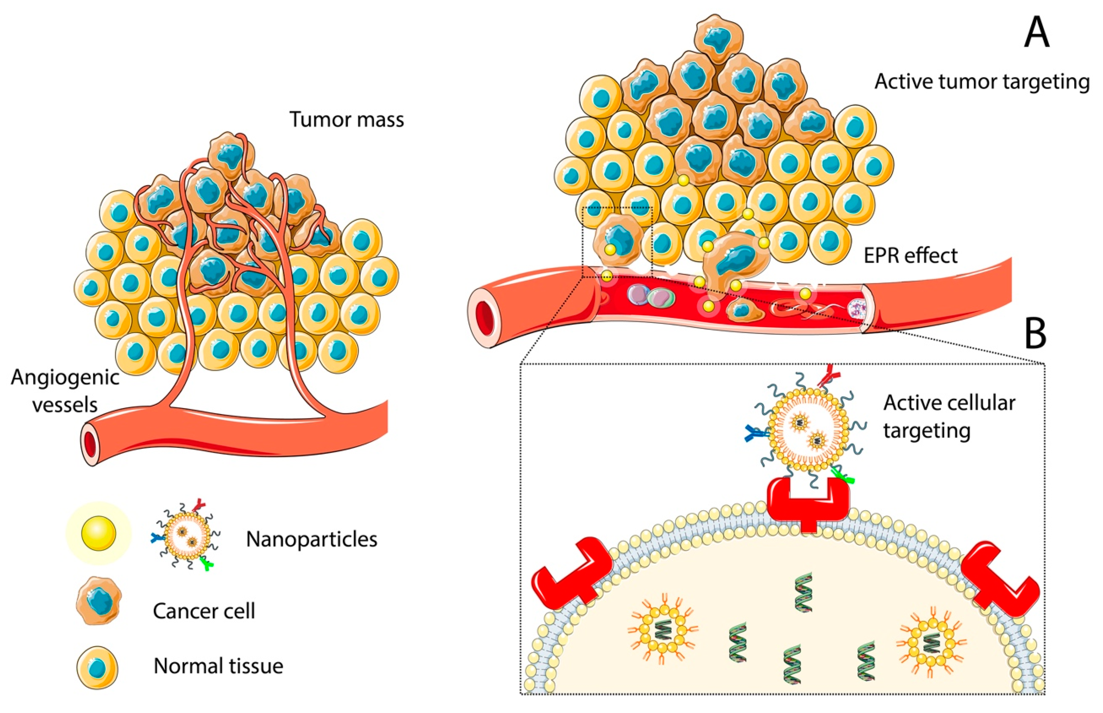 Ijms 22 09673 g001 550