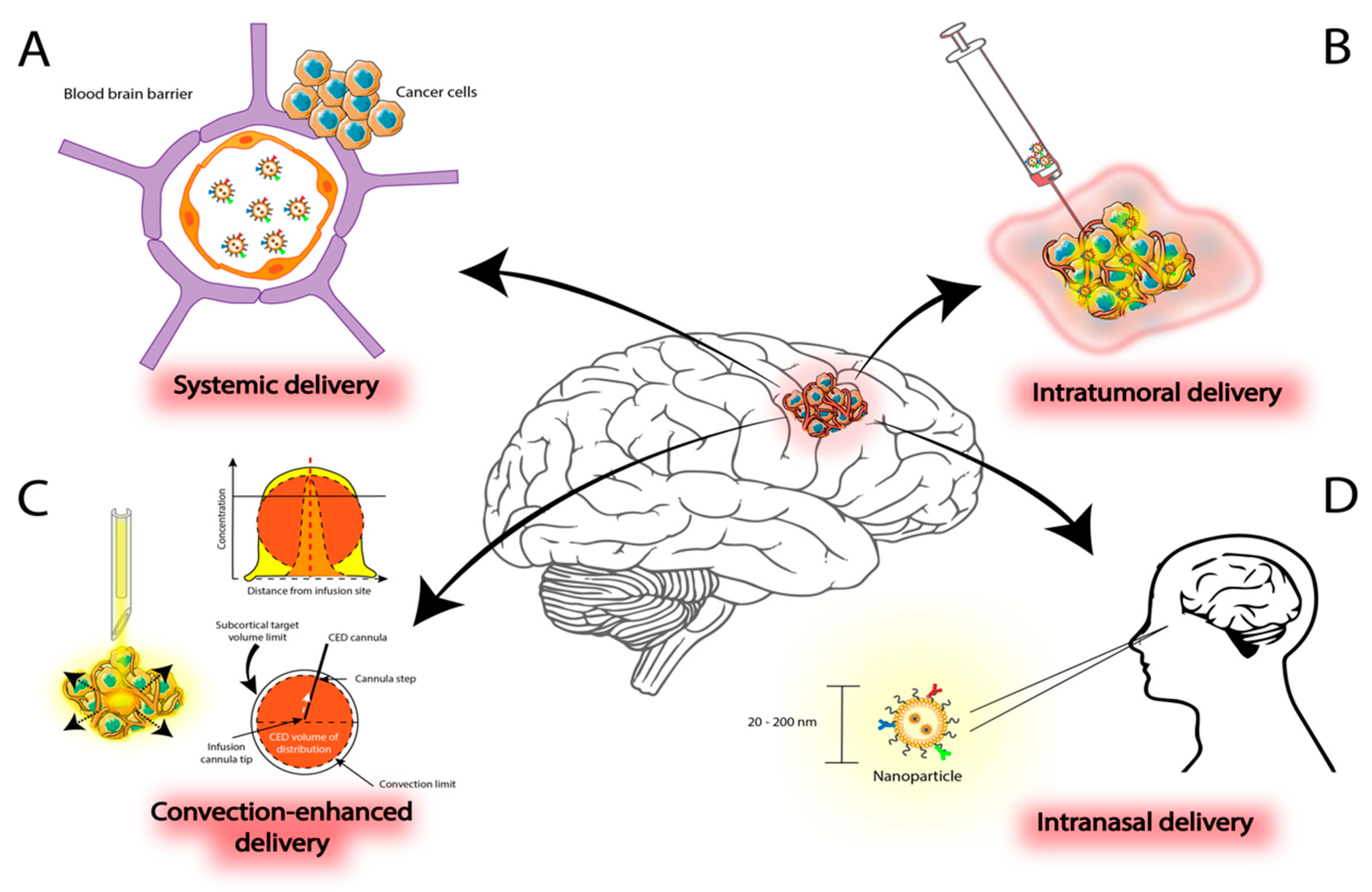 Ijms 22 09673 g003 550
