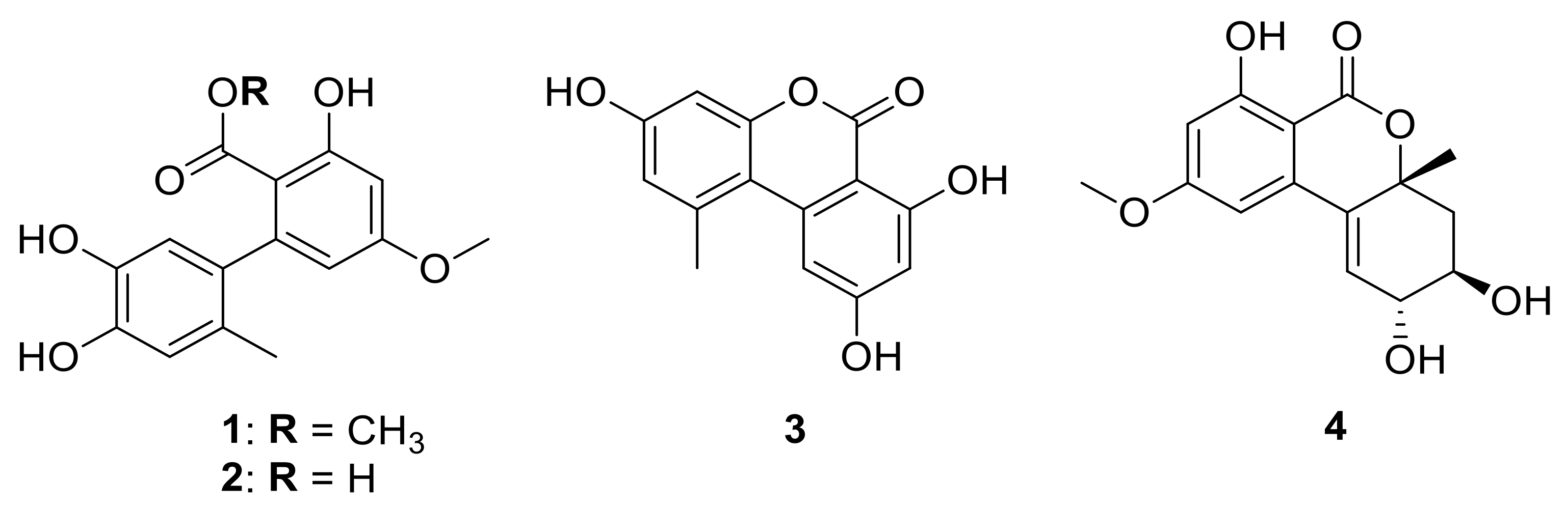 Ijms 22 09674 g001 550