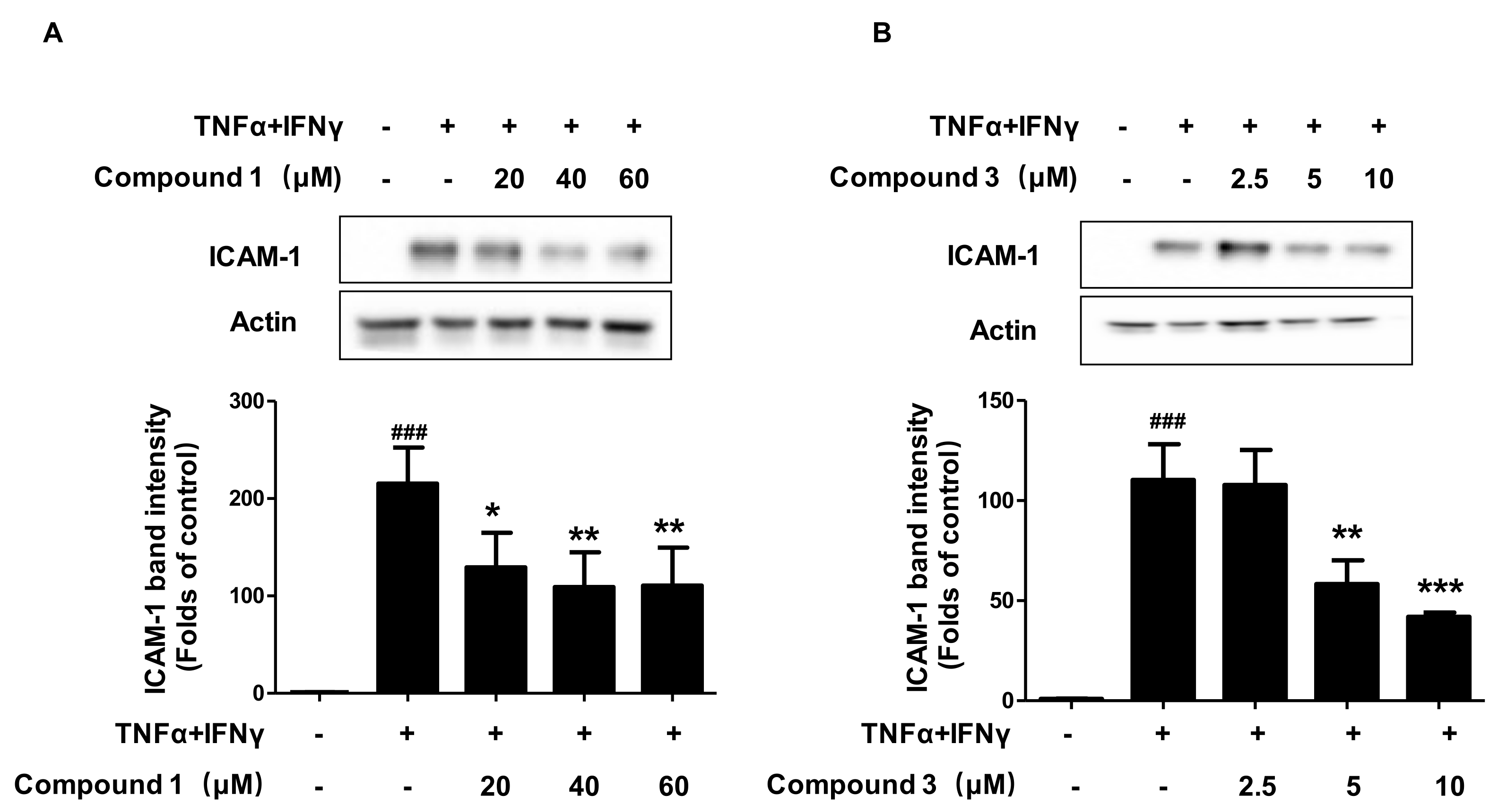 Ijms 22 09674 g005 550