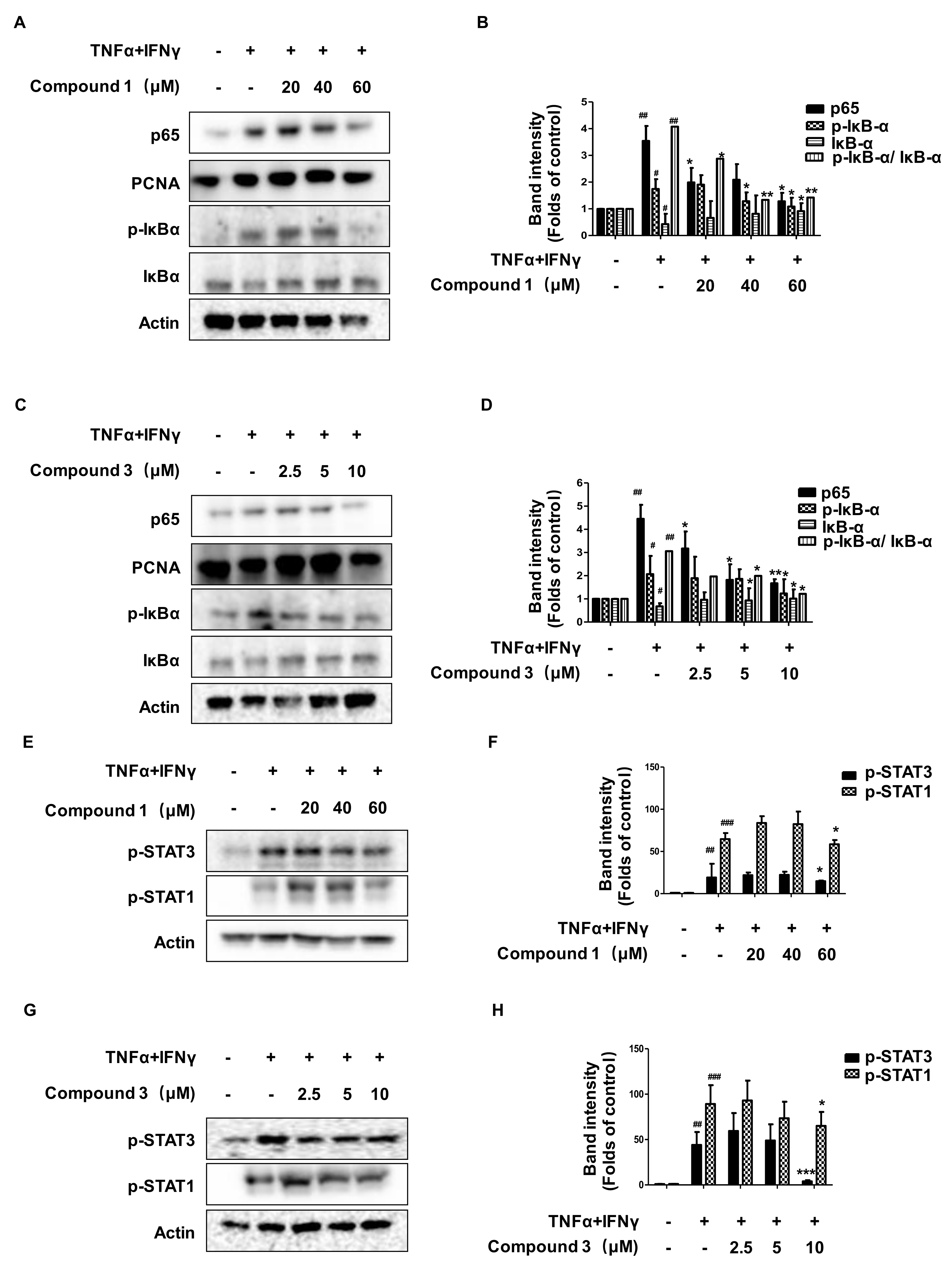 Ijms 22 09674 g007 550