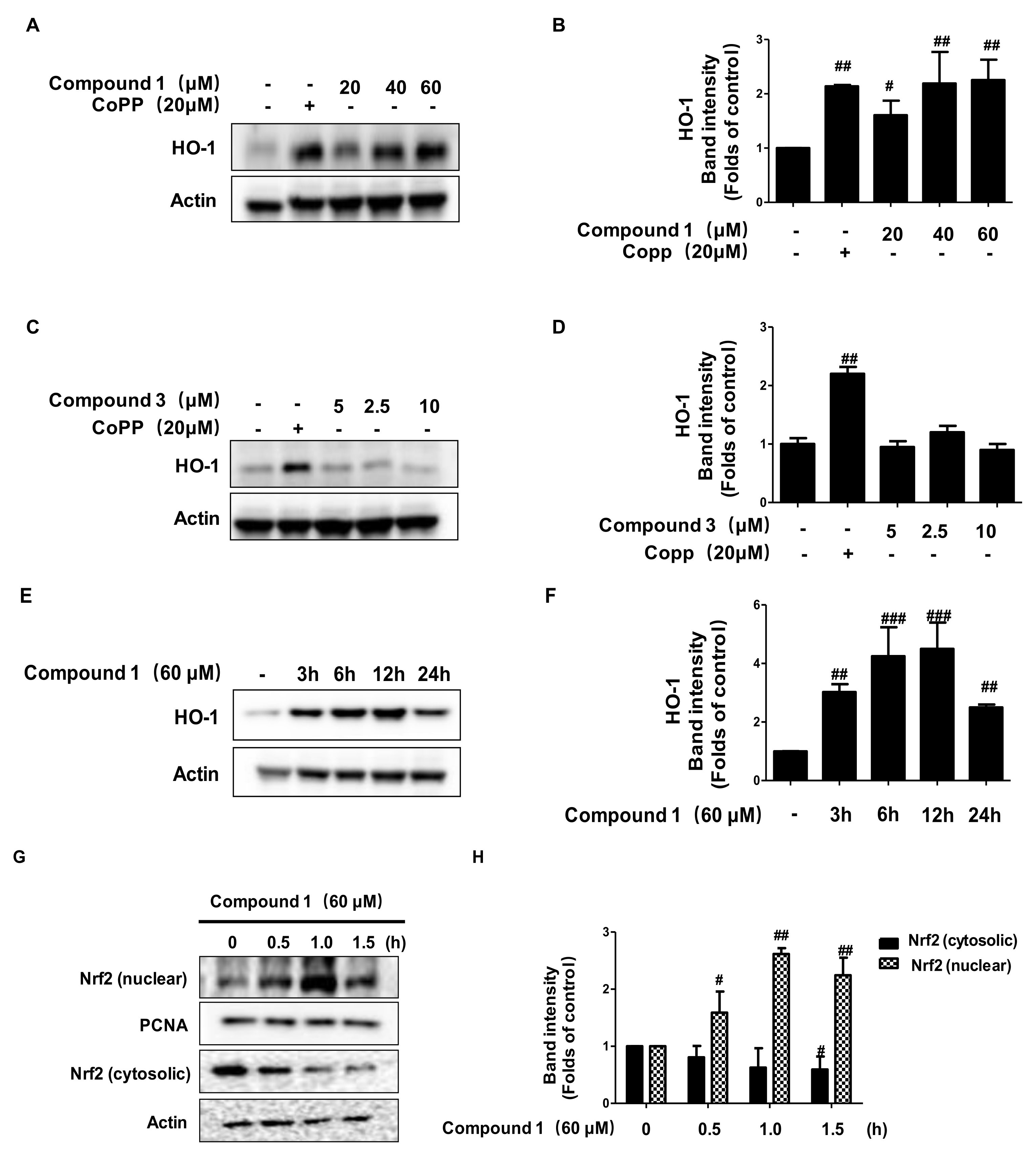Ijms 22 09674 g008 550