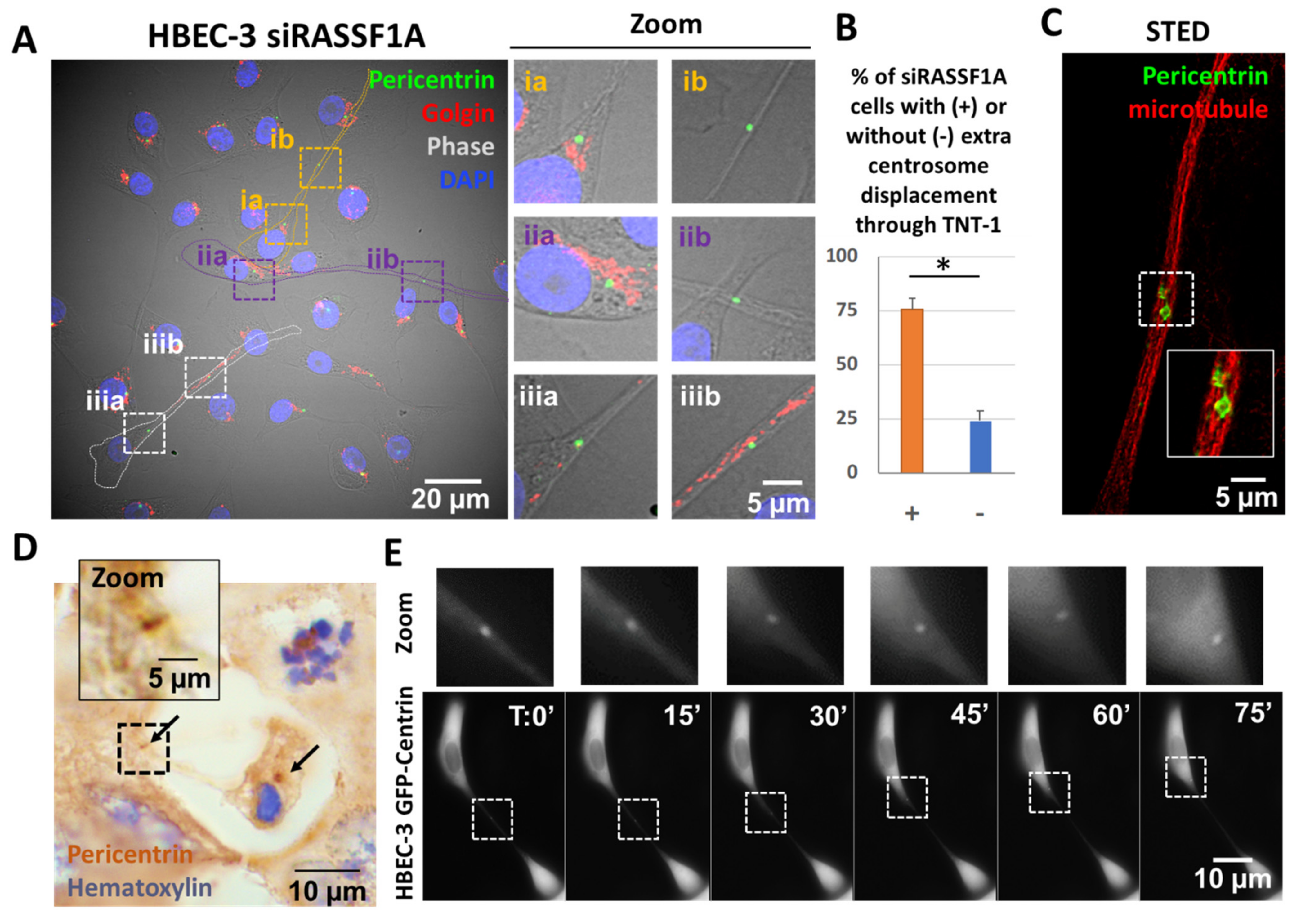 Ijms 22 09680 g003 550