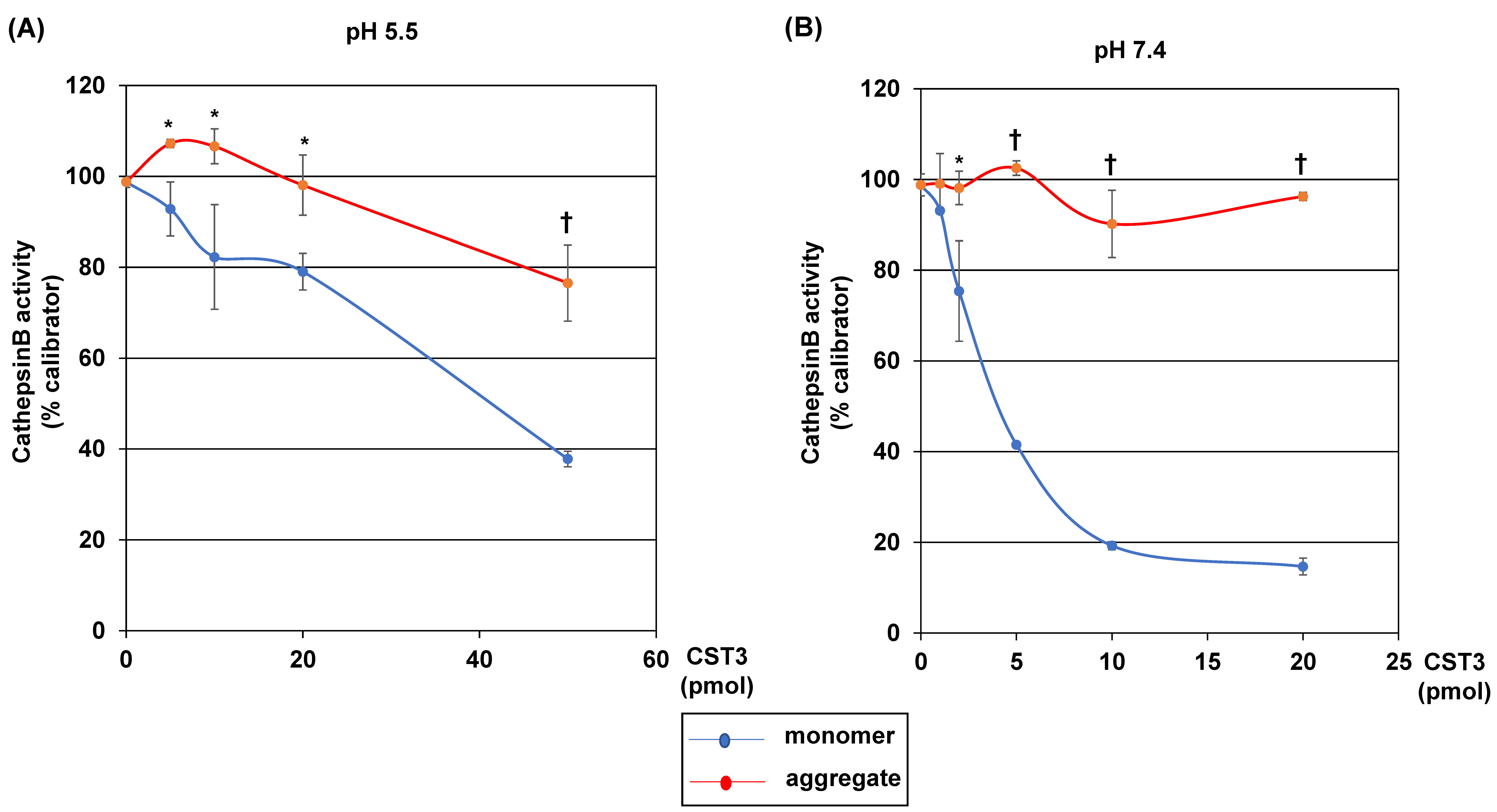 Ijms 22 09682 g003 Ijms 22 09682 g003