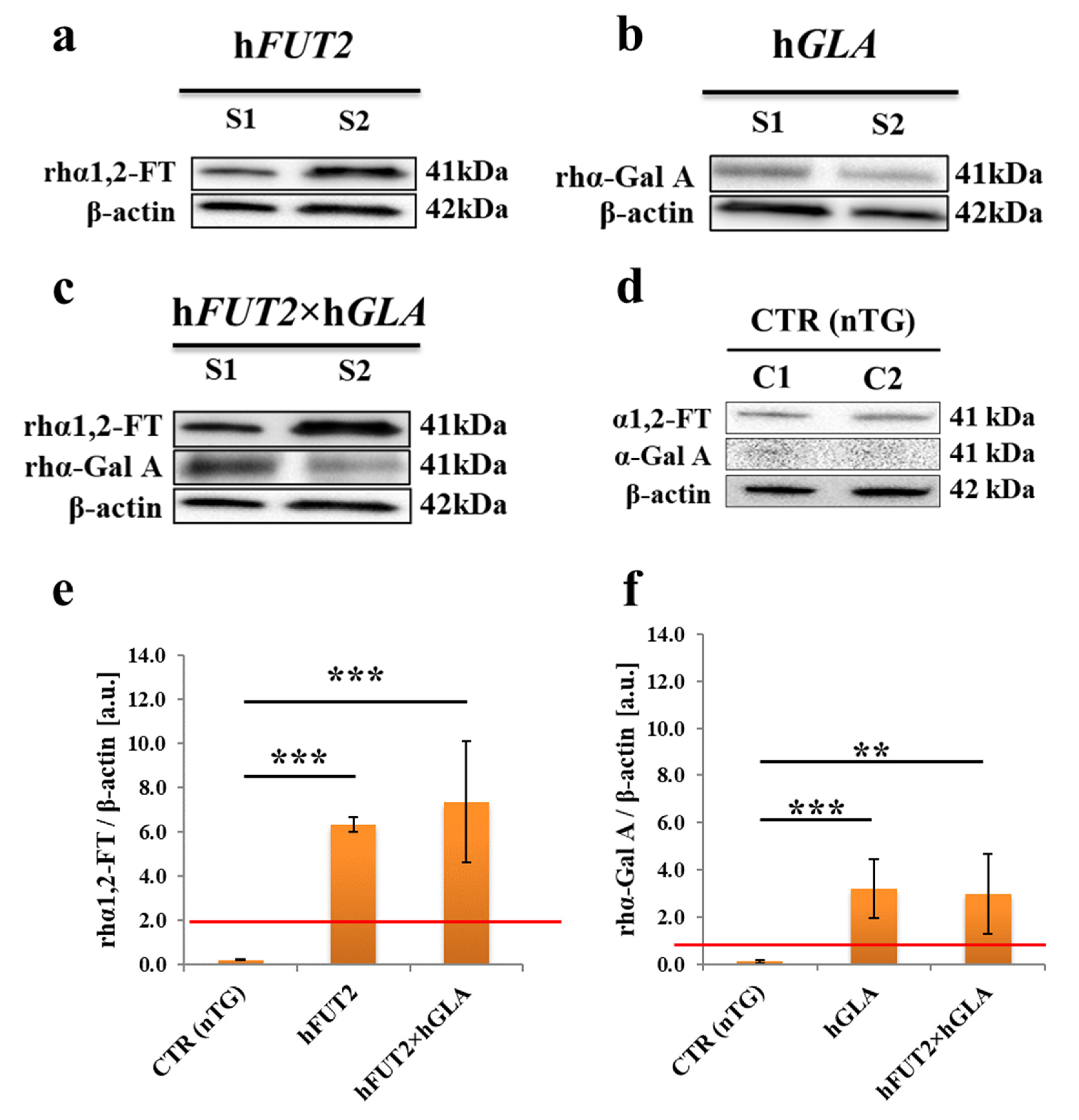 Ijms 22 09683 g003 550