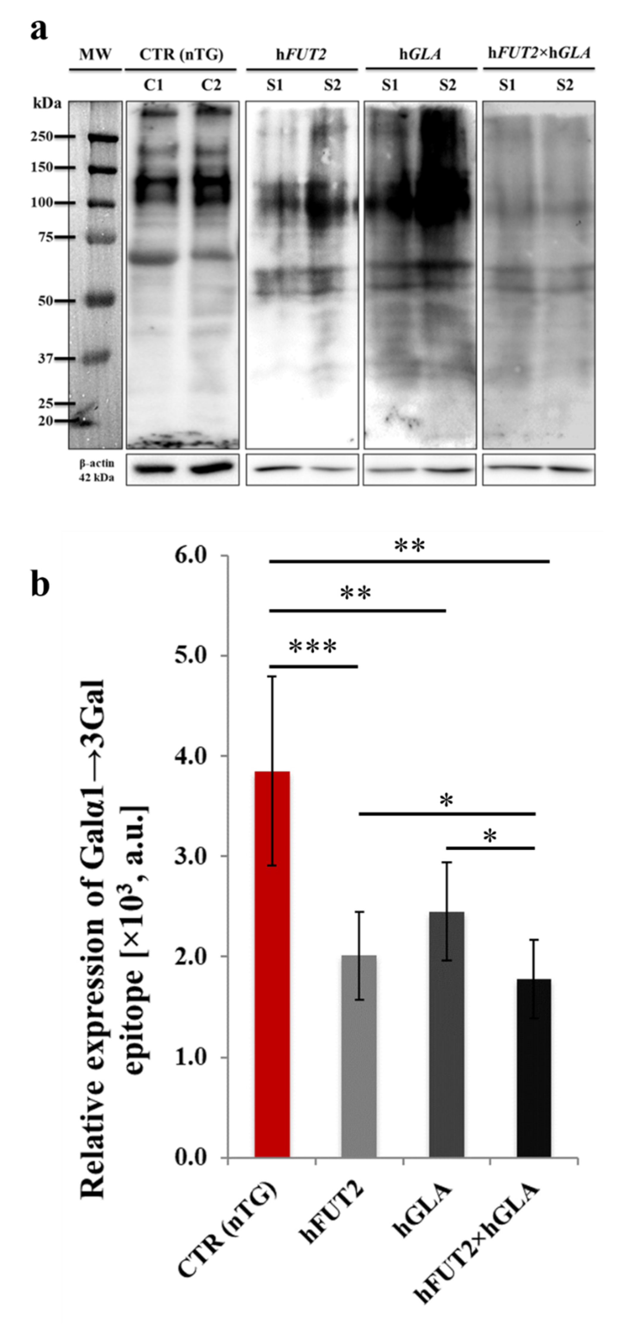 Ijms 22 09683 g006 550