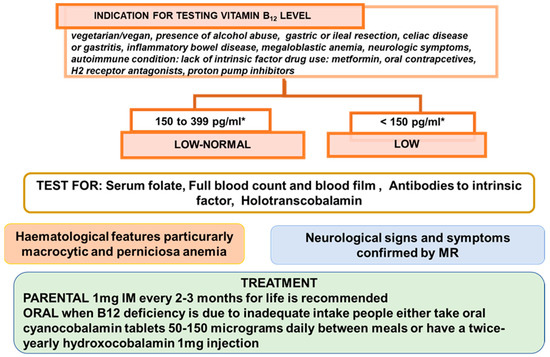 IJMS Free Full Text A Brief Review On Vitamin B12 Deficiency 