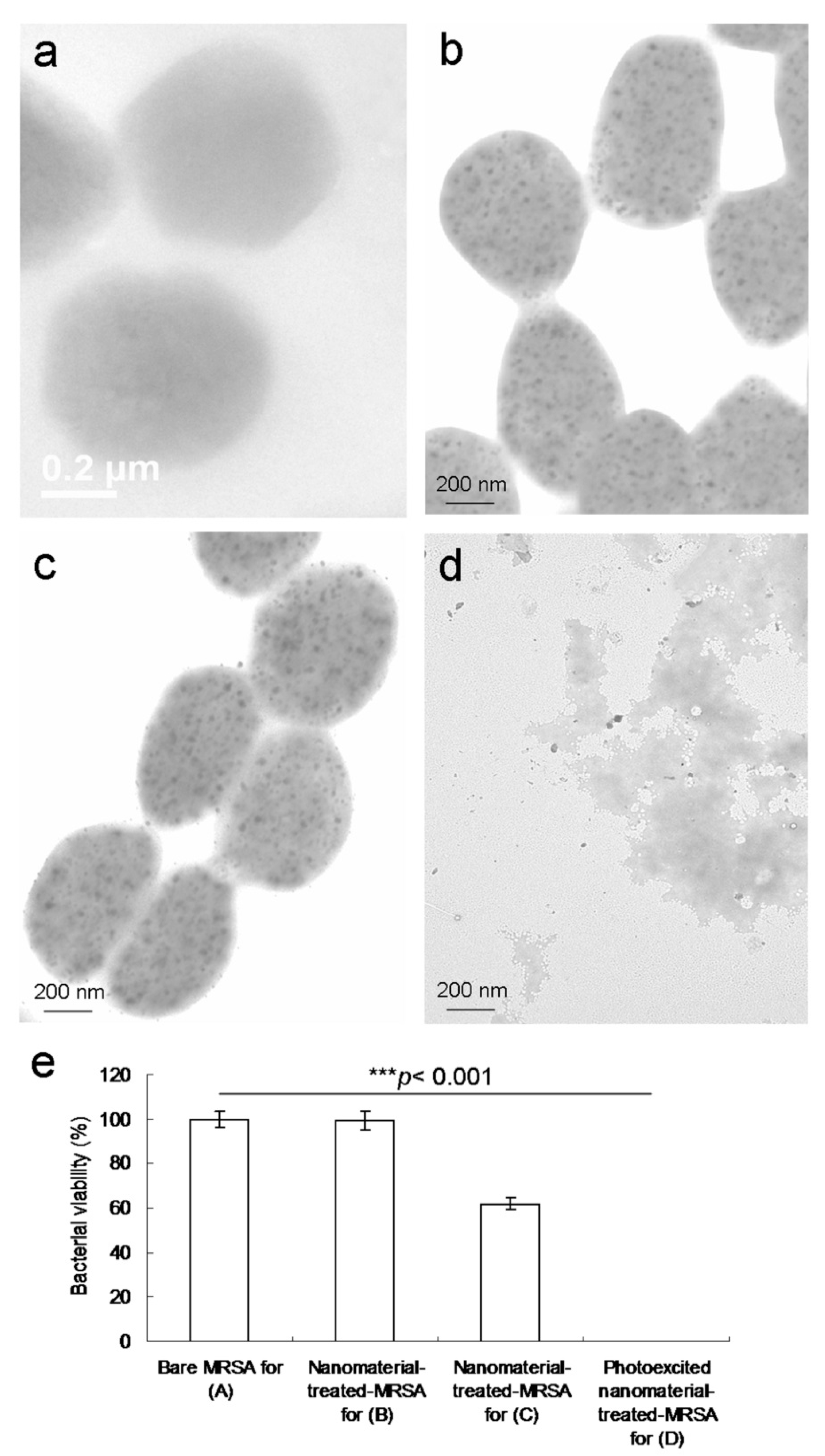 Ijms 22 09695 g006 550