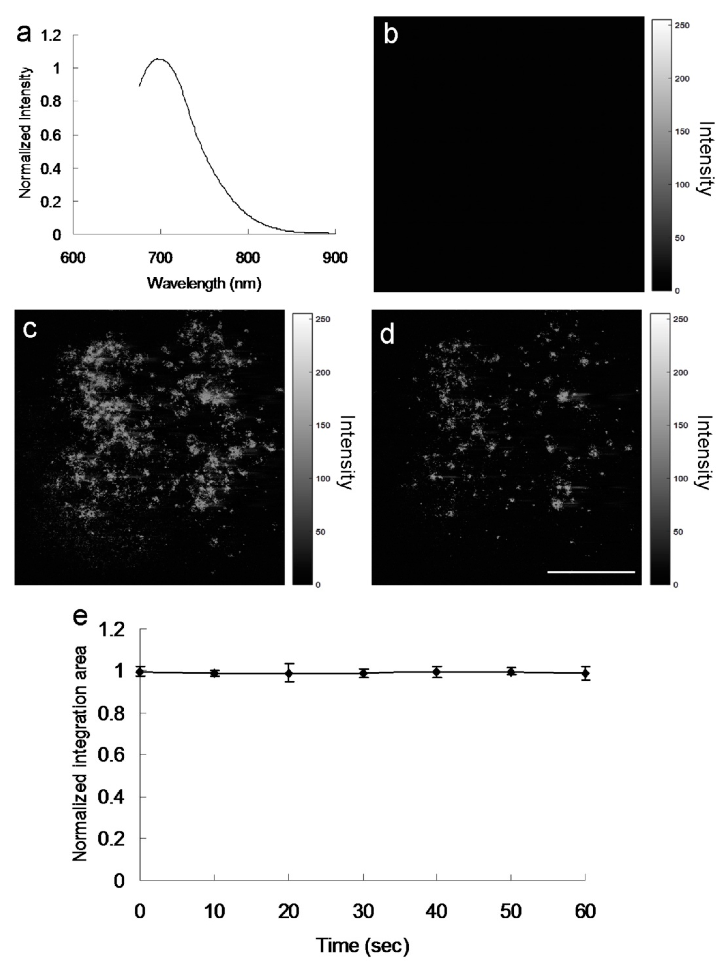 Ijms 22 09695 g007 550