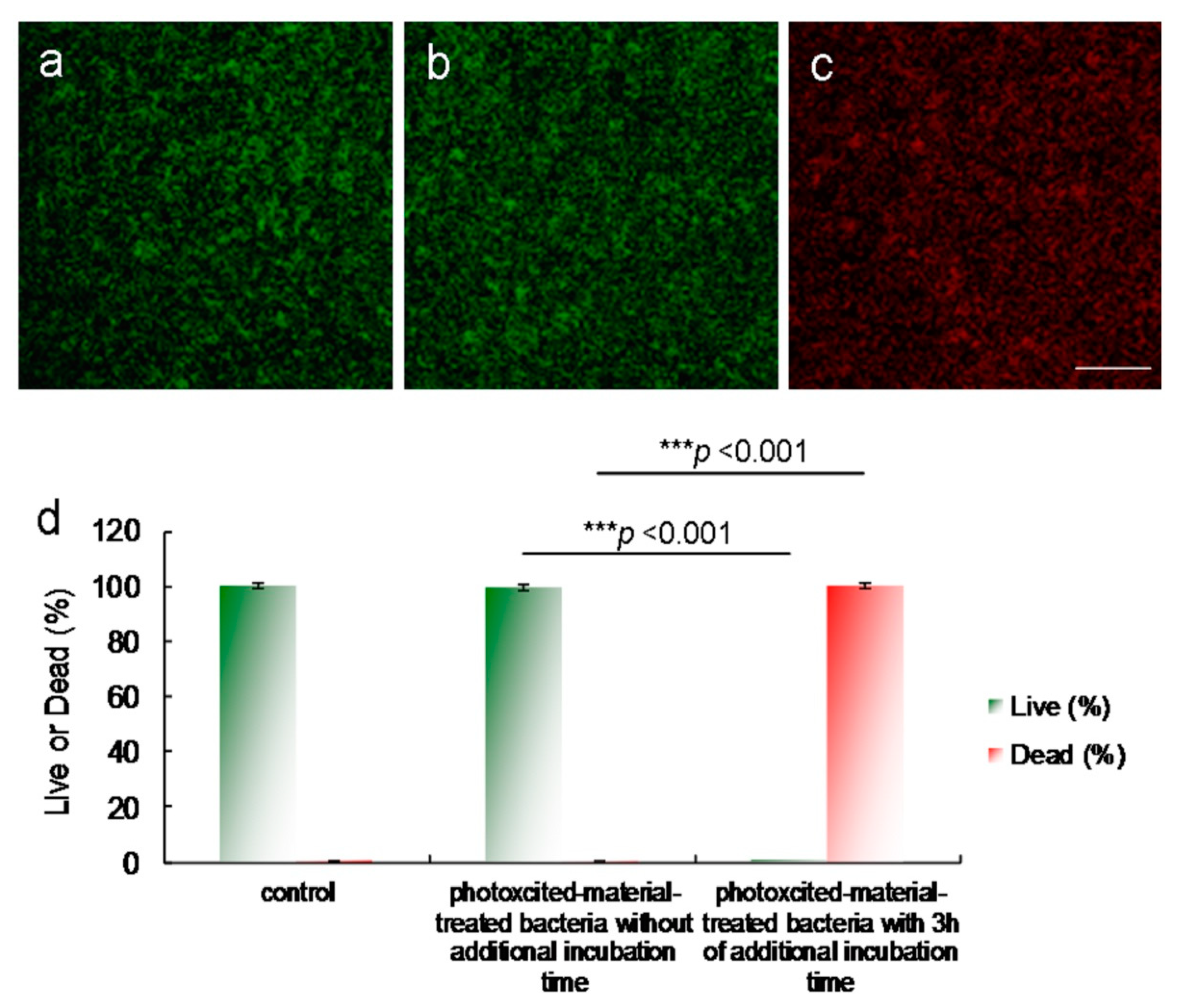 Ijms 22 09695 g008 550